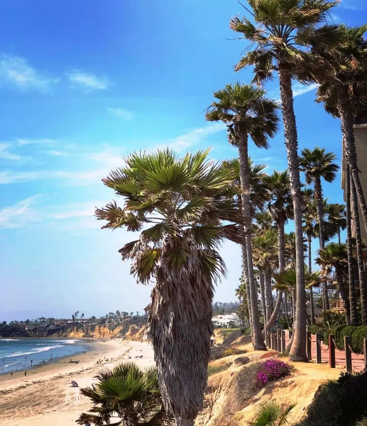 Beach in Pacific Terrace Hotel