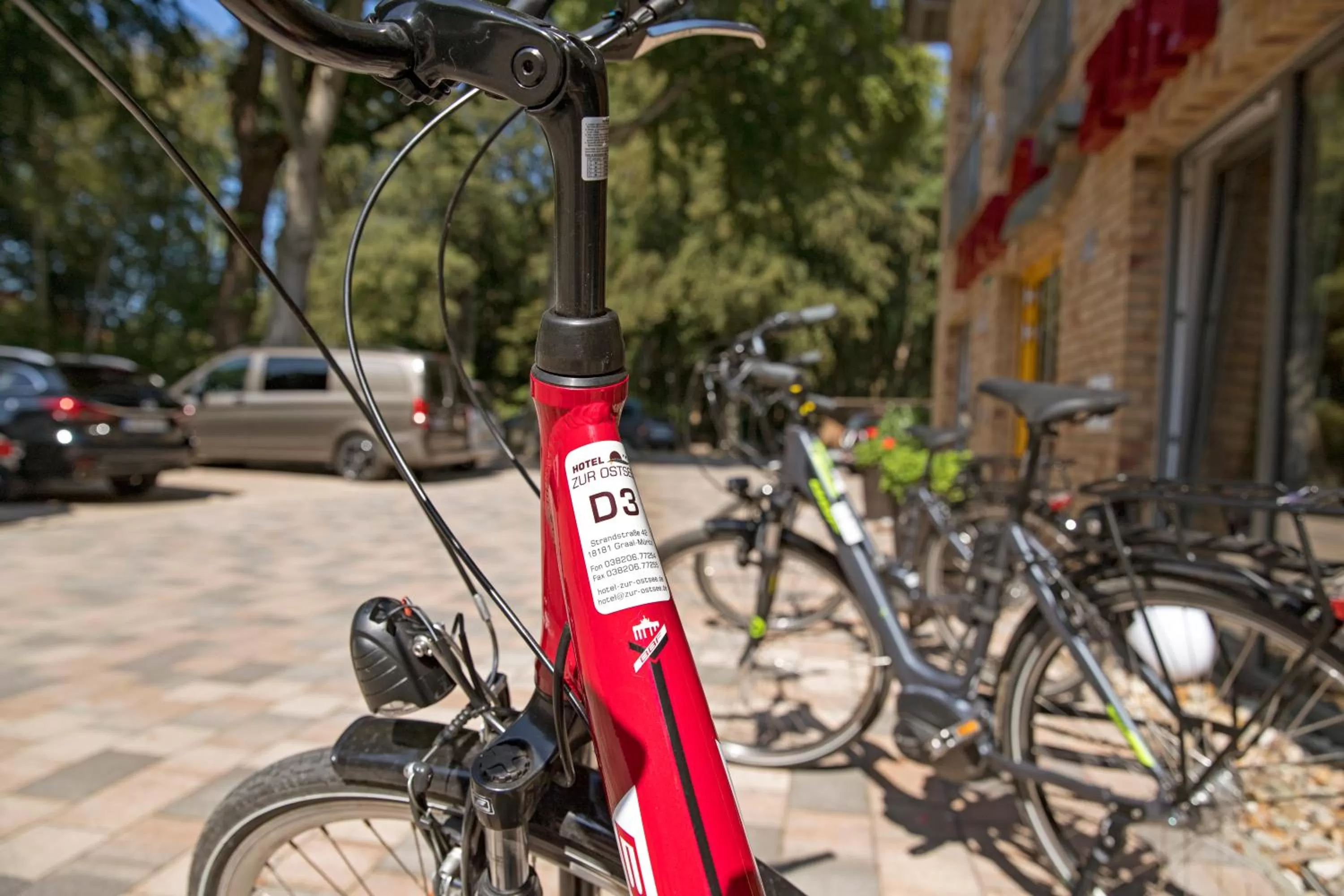 Cycling in Hotel zur Ostsee