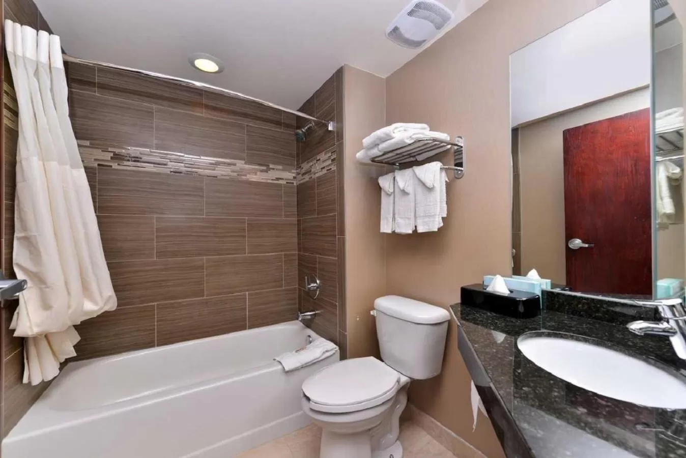 Shower in Quality Inn & Suites Matteson near I-57