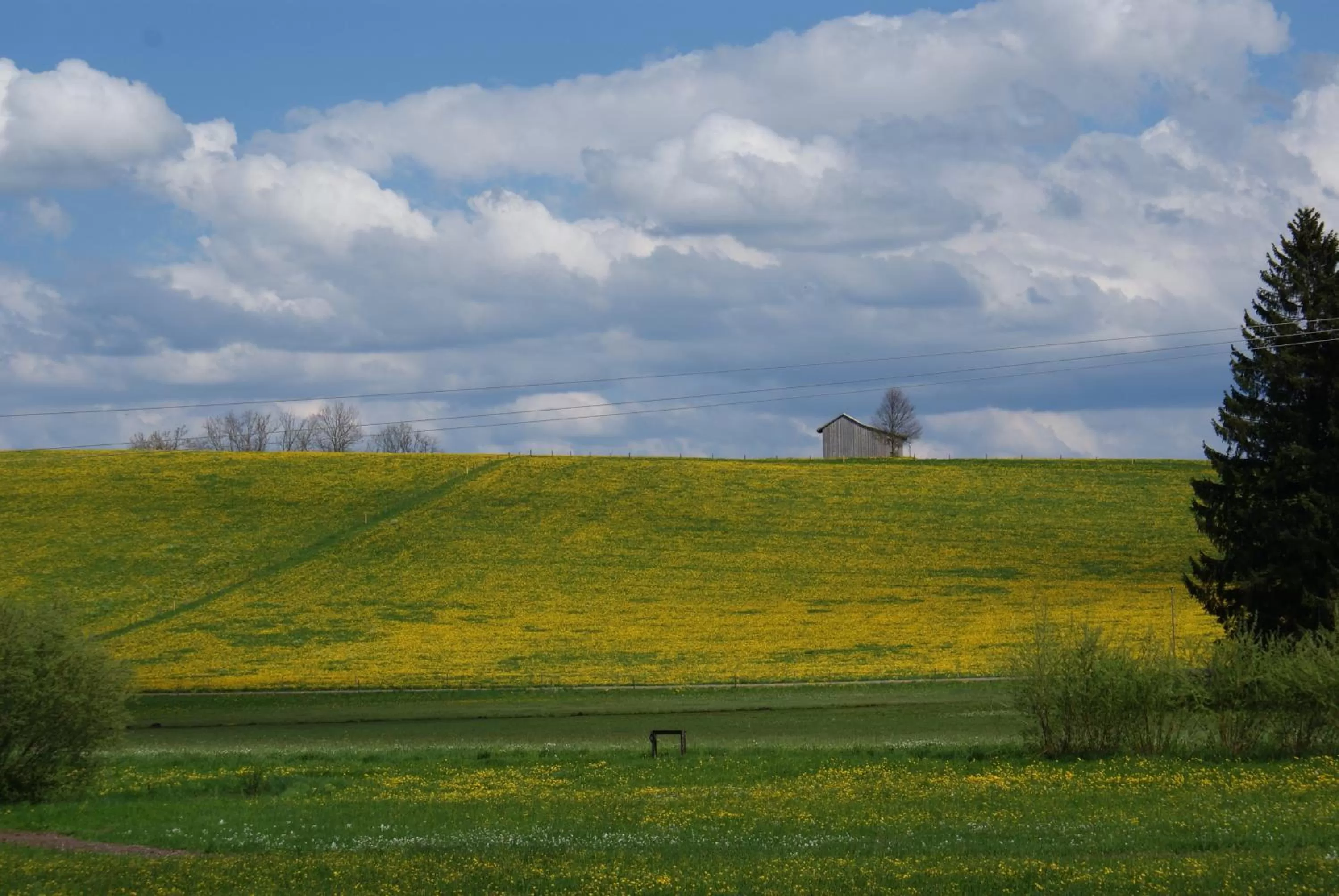 Natural landscape in Landhaus Grobert