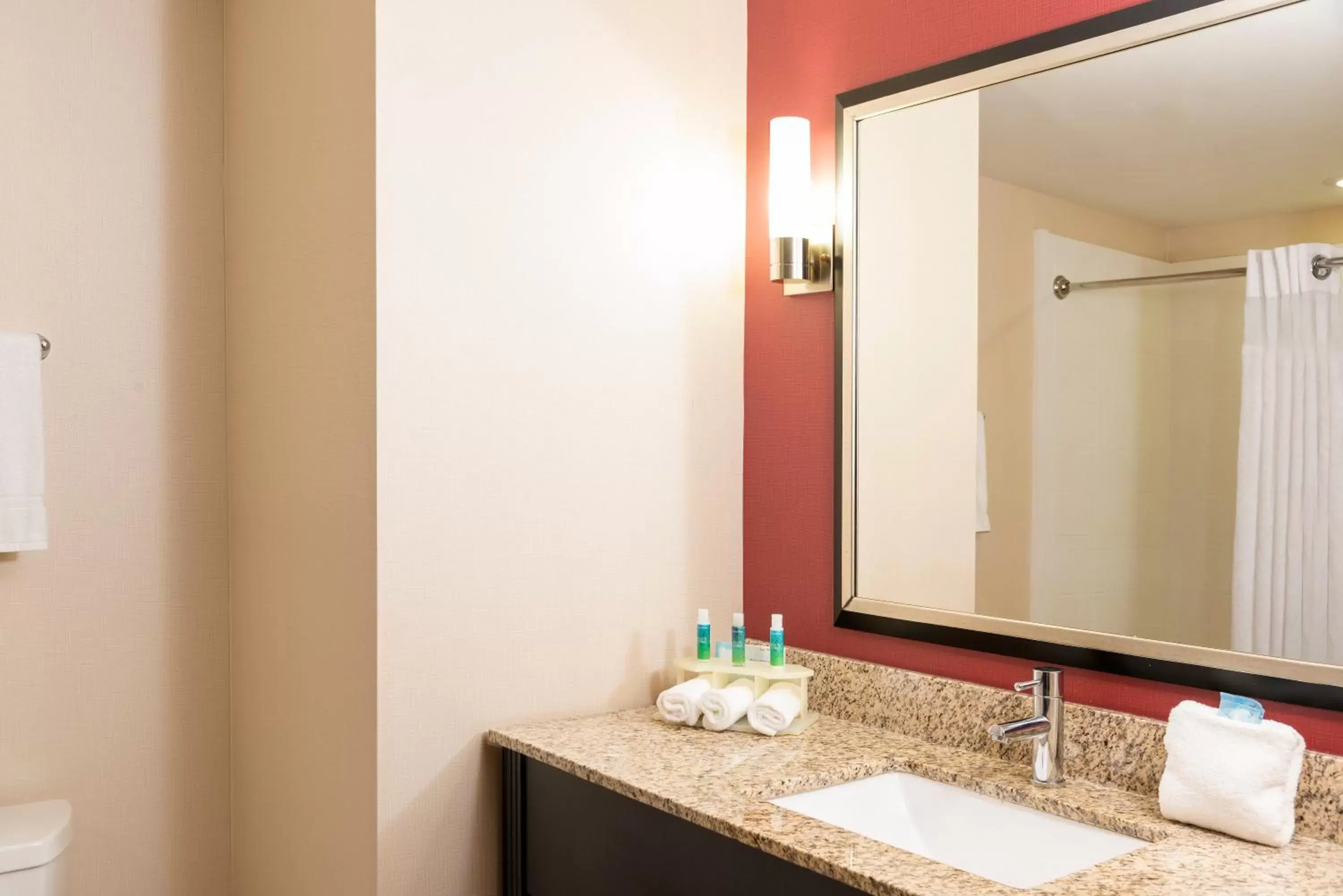 King Room - Mobility Access/Roll in Shower - Non-Smoking in Holiday Inn Express & Suites - New Philadelphia Southwest, an IHG Hotel King Room - Mobility Access/Roll in Shower - Non-Smoking in Holiday Inn Express & Suites - New Philadelphia Southwest, an IHG Hotel