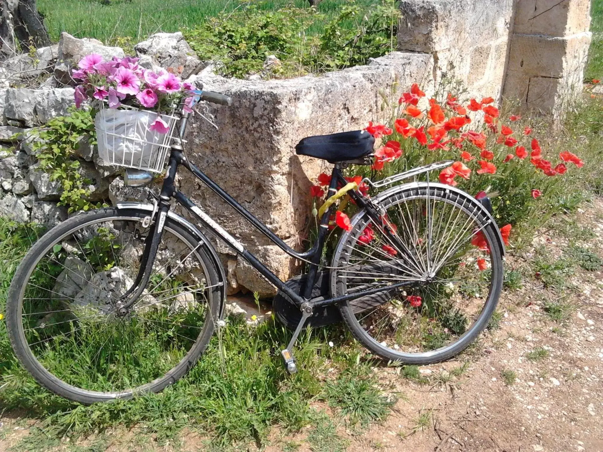 Biking in B&b SAN LORENZO