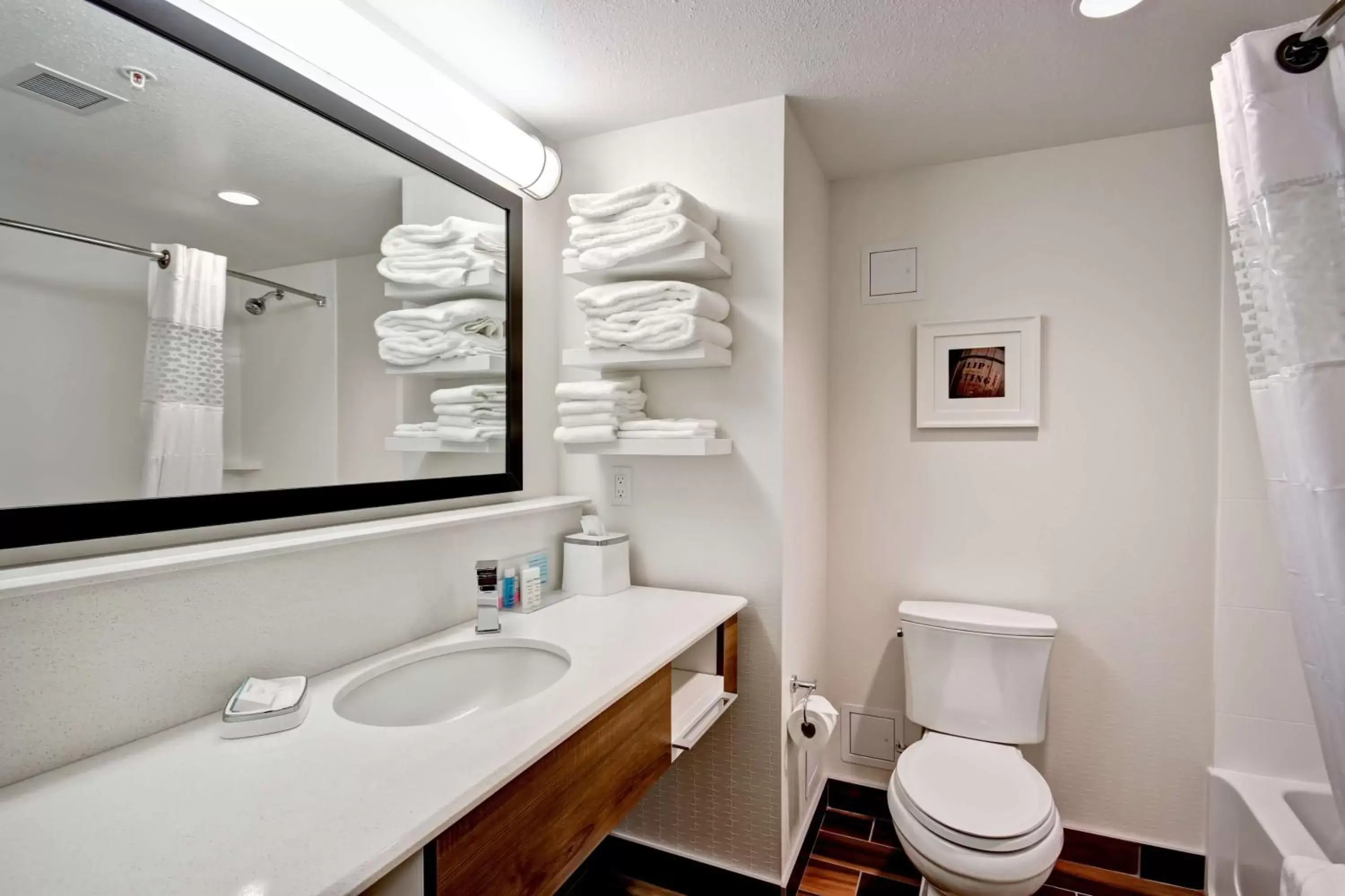 Bathroom in Hampton Inn & Suites - Medicine Hat