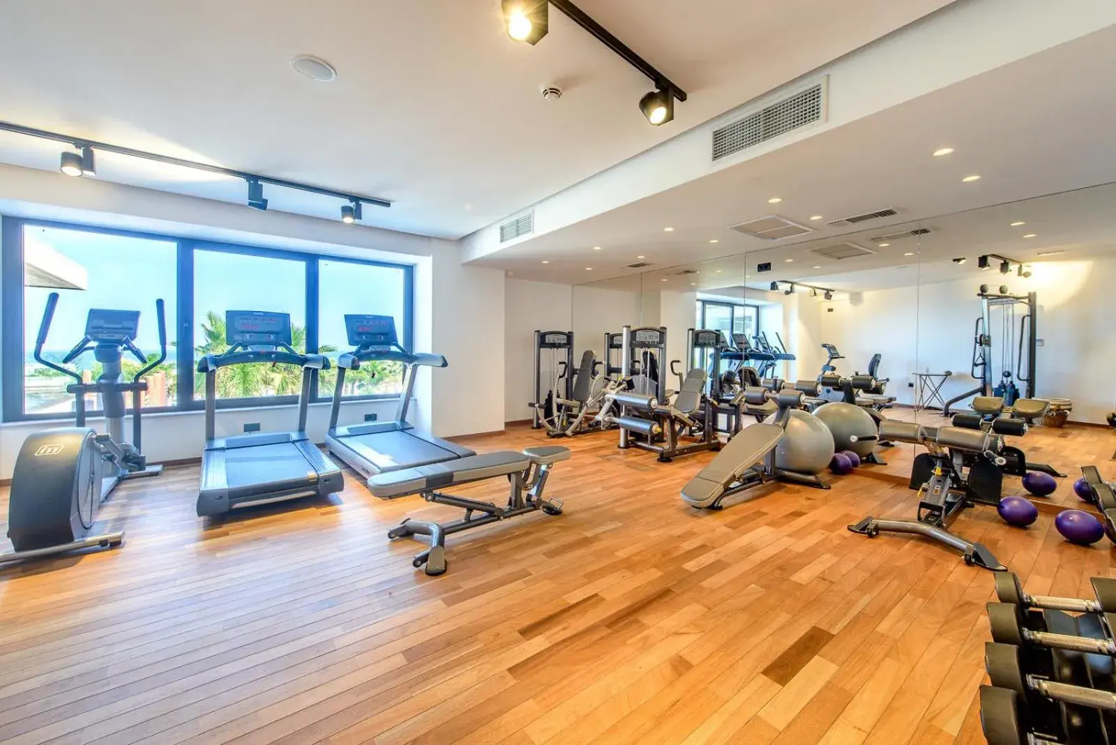 Fitness Center/Facilities in Stella Island Luxury Resort & Spa (Adults Only)
