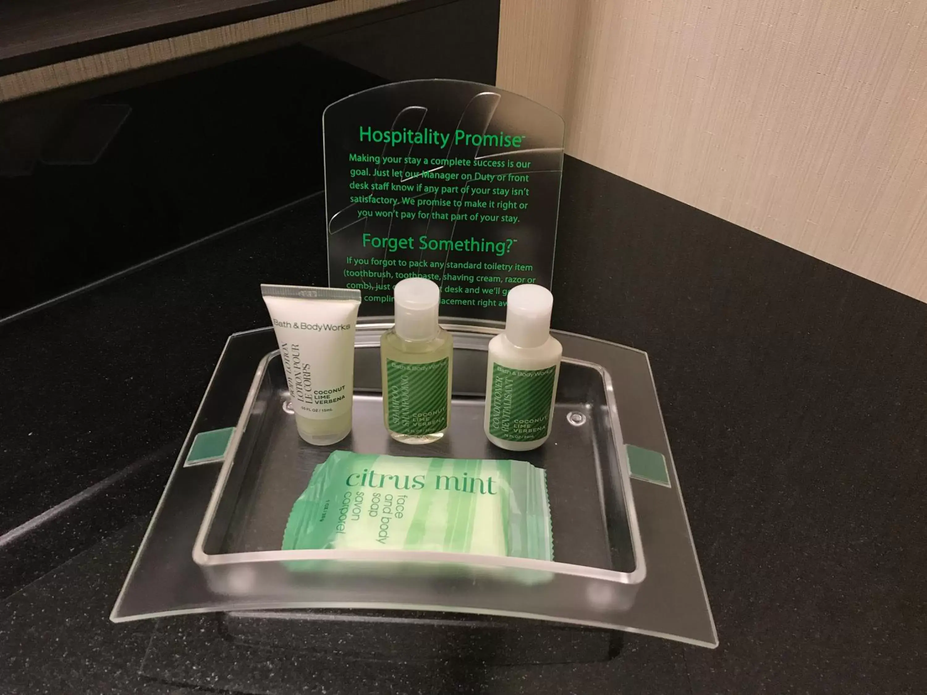 One-Bedroom King Suite in Holiday Inn & Suites Winnipeg Downtown by IHG One-Bedroom King Suite in Holiday Inn & Suites Winnipeg Downtown by IHG