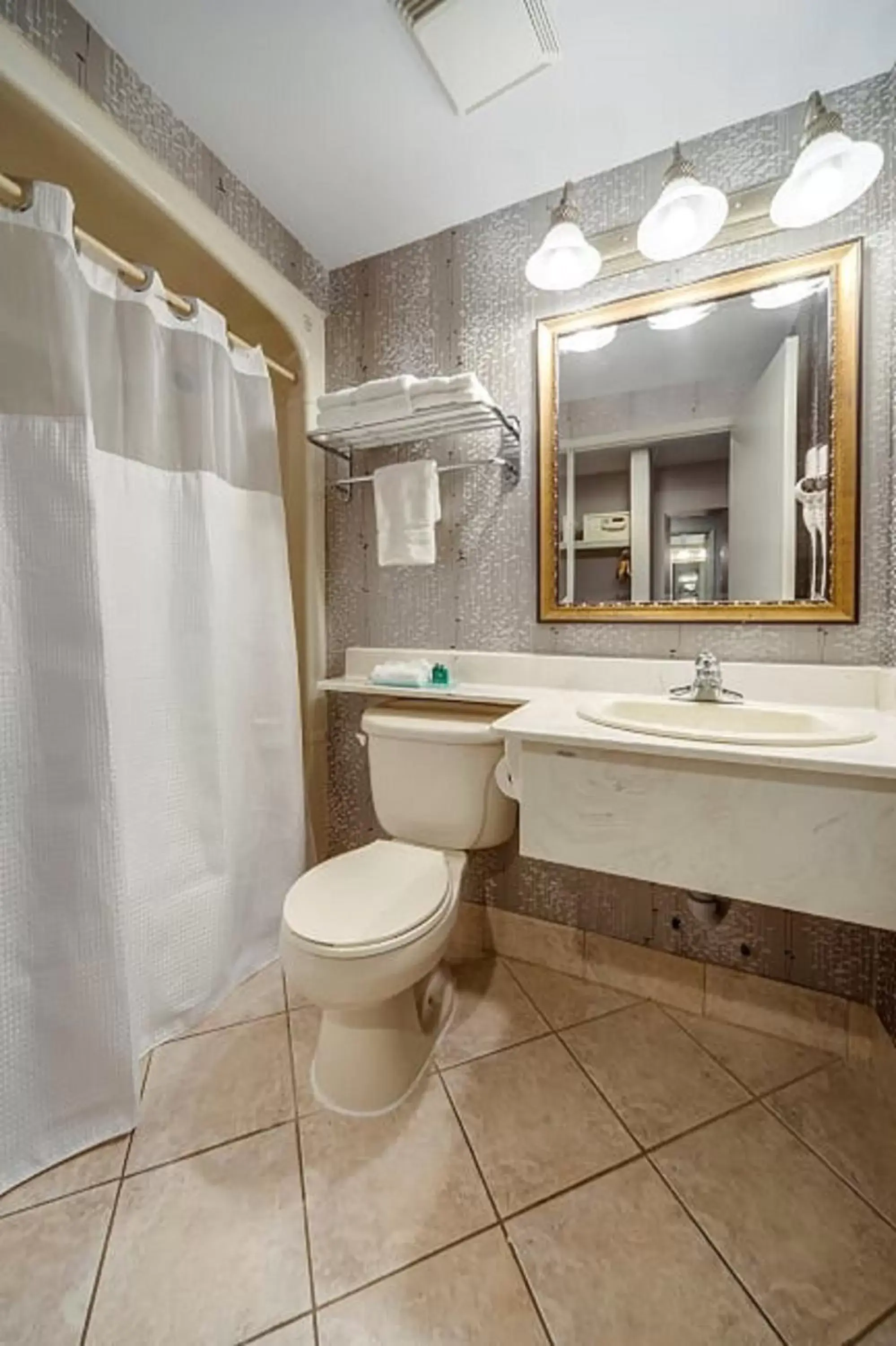 Shower, Bathroom in Monte Carlo Inn Brampton