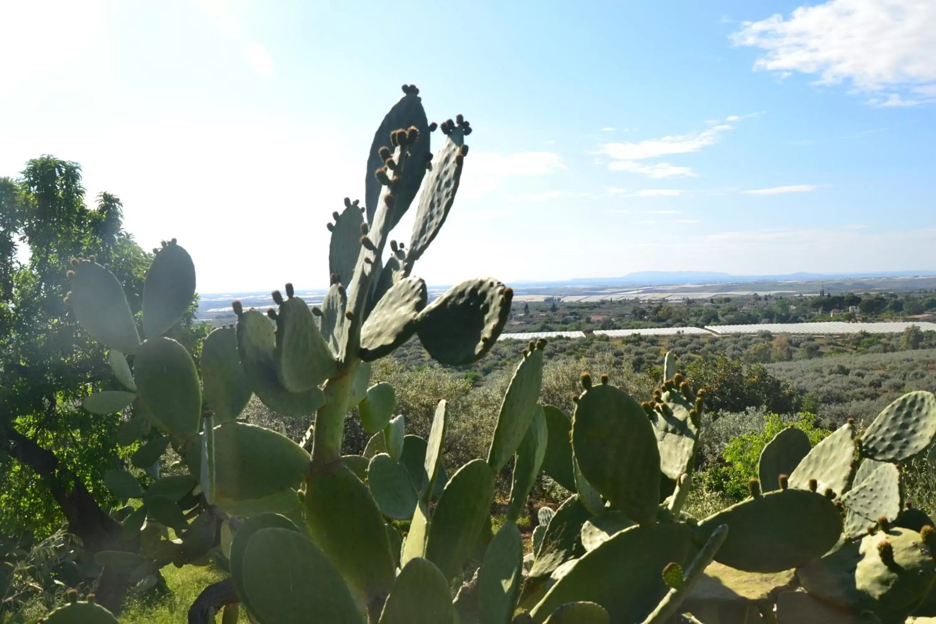 View (from property/room) in Ronnavona Casa Vacanze B&B