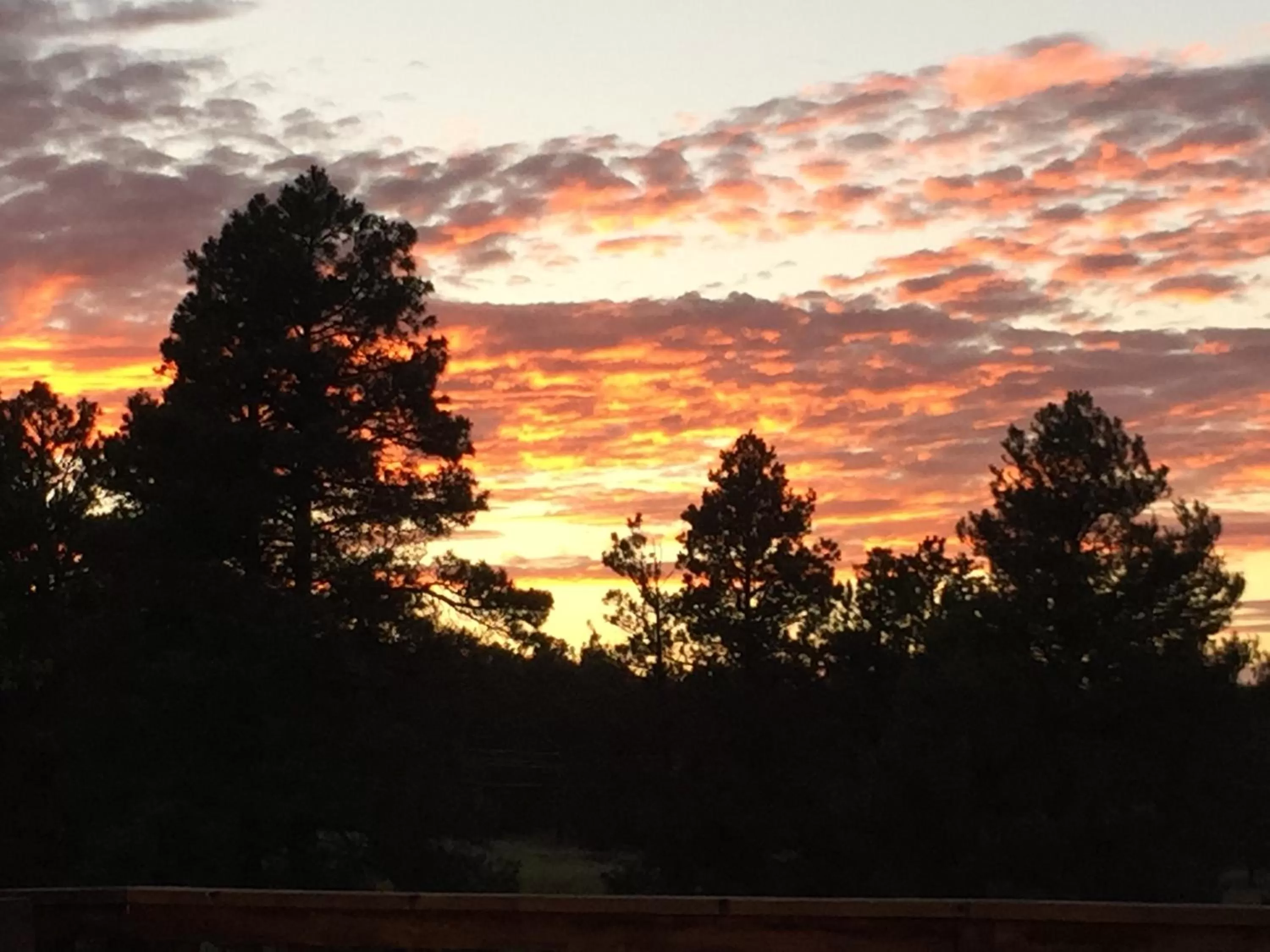 Summer in Elkwood Manor Bed & Breakfast