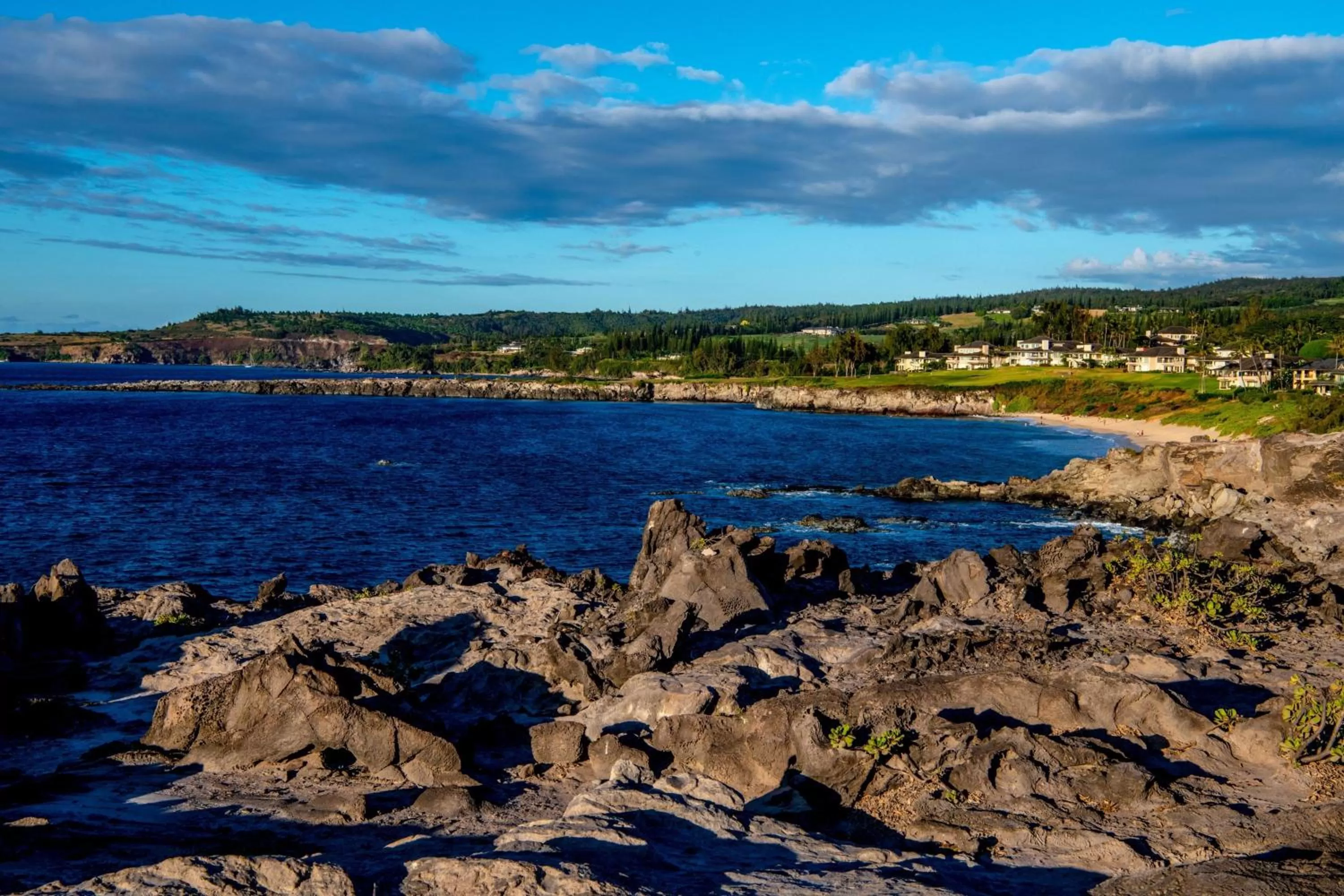Other in The Ritz-Carlton Maui, Kapalua