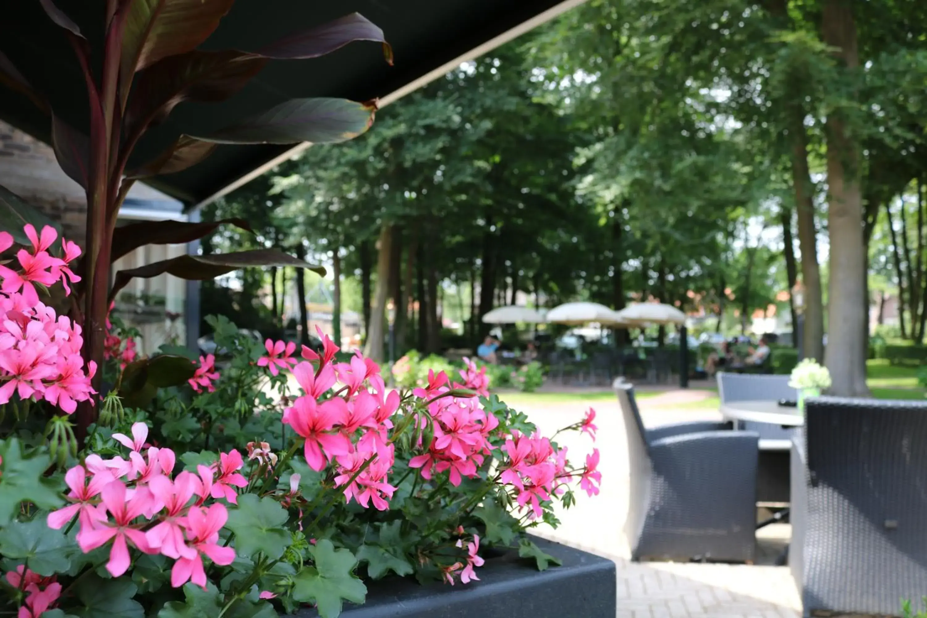 Garden in Hof van Putten