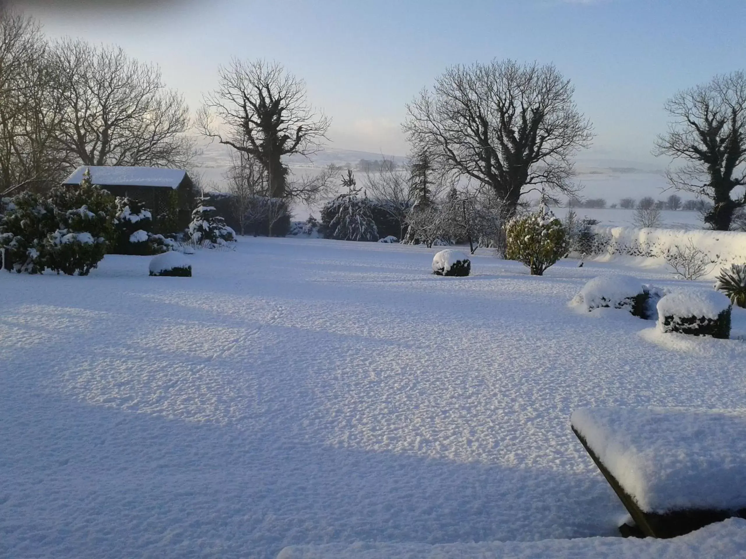 Garden, Winter in Moor View