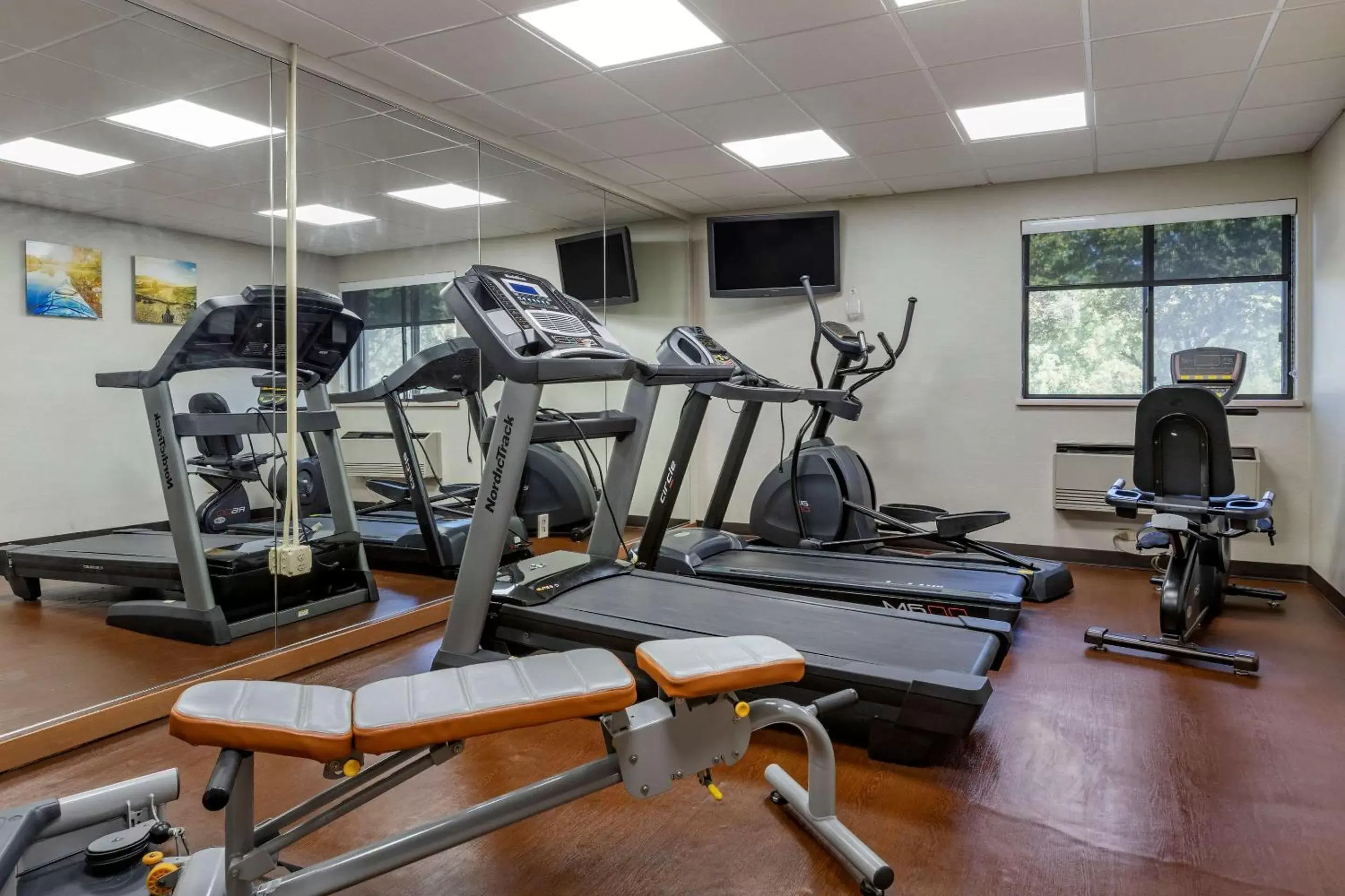 Fitness centre/facilities, Fitness Center/Facilities in Comfort Inn Near Greenfield Village