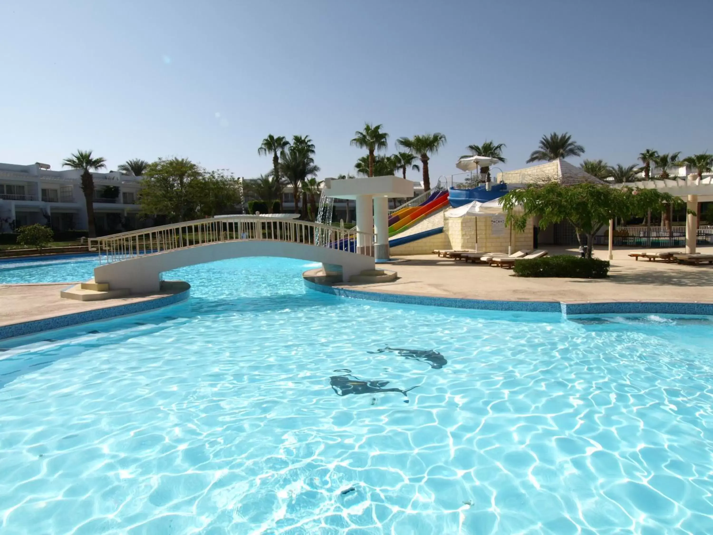 Swimming Pool in Monte Carlo Sharm Resort & Spa