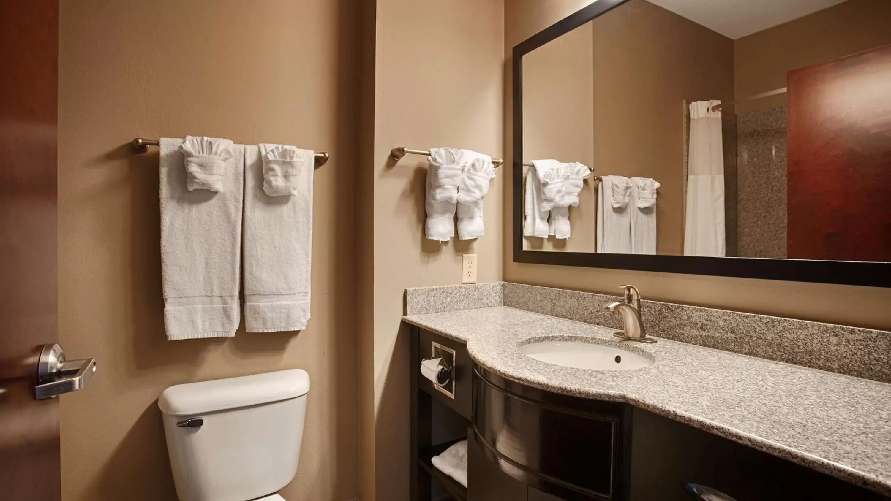Bathroom in Best Western Abbeville Inn and Suites