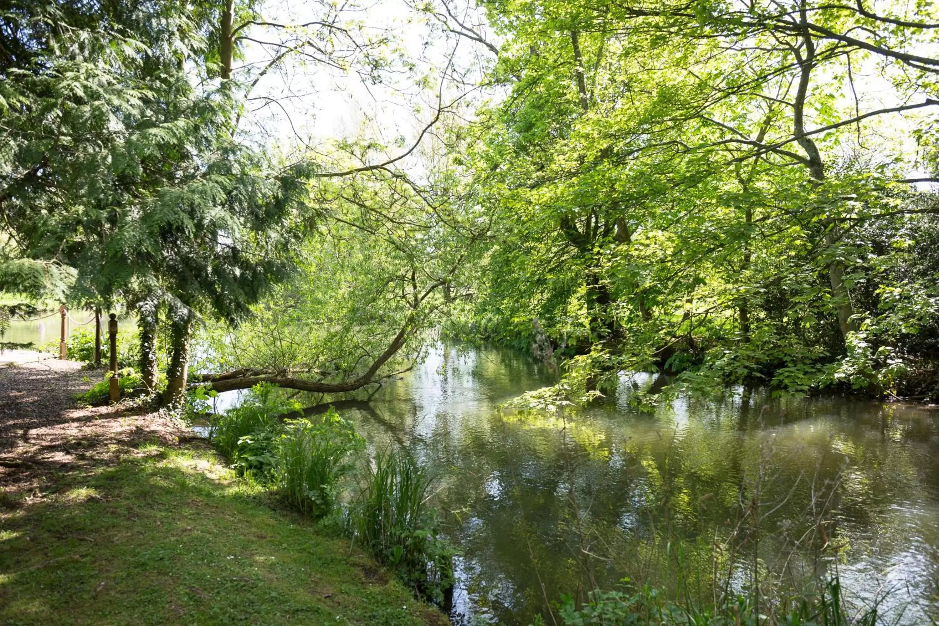 Fishing, Natural Landscape in The Dundas Arms