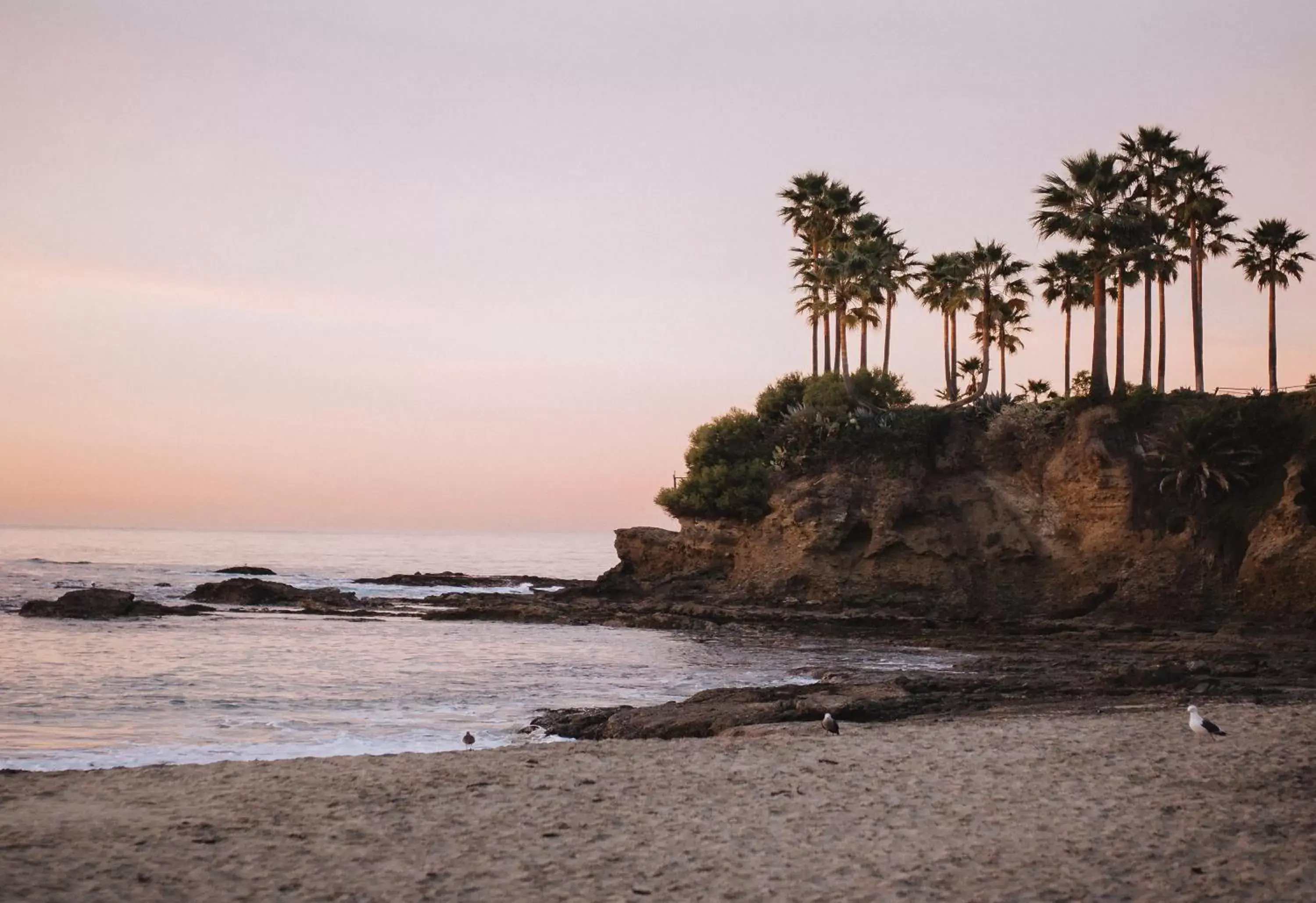 Beach in Hotel Joaquin