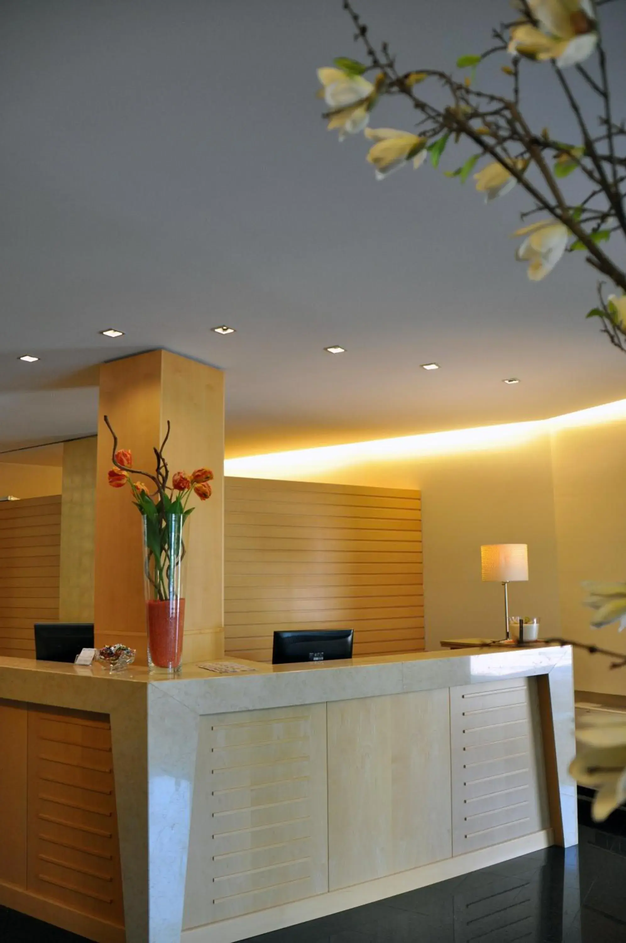 Lobby or reception, Lobby/Reception in Executive Bergamo