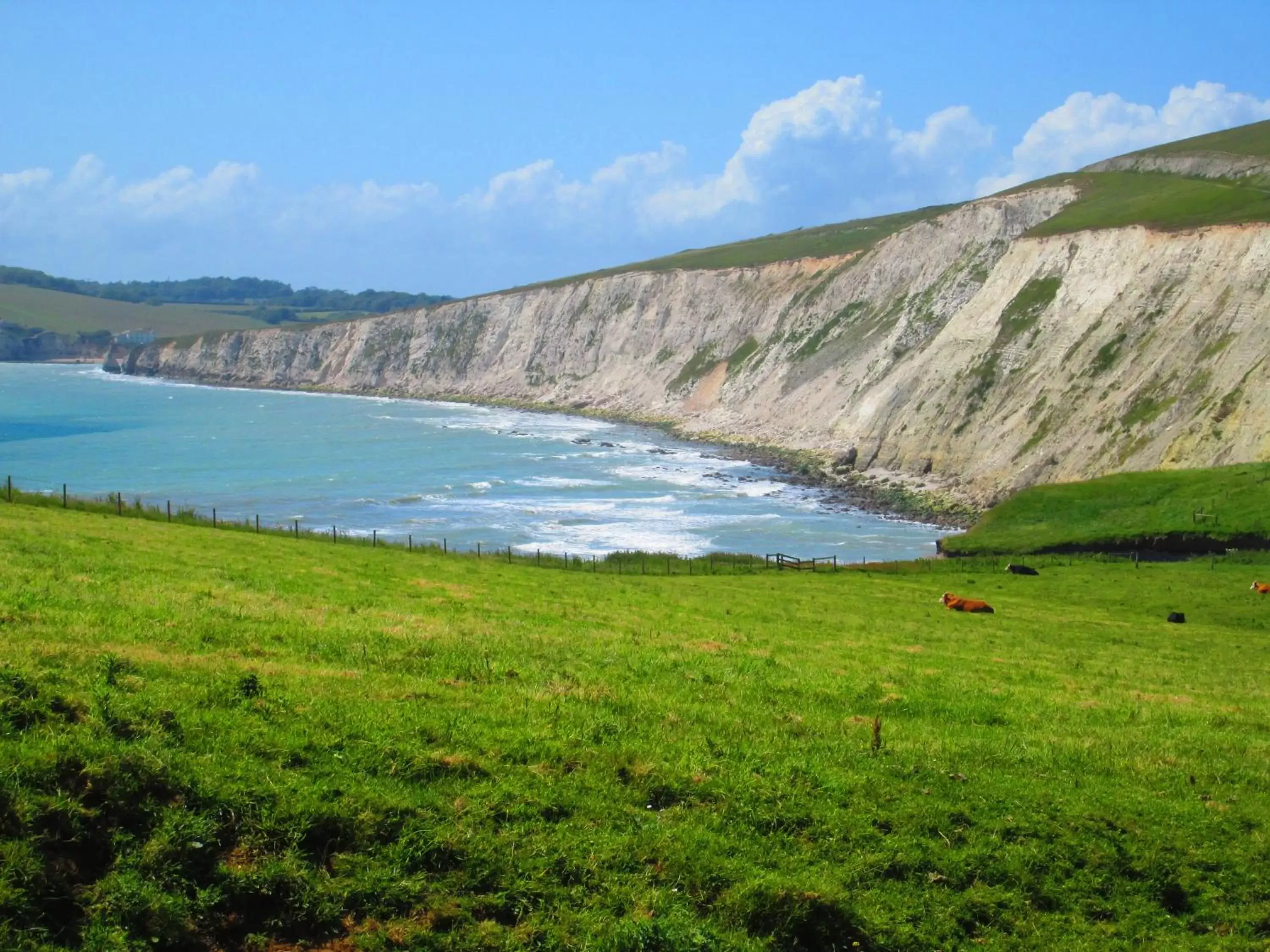 Day, Natural Landscape in Weston Manor