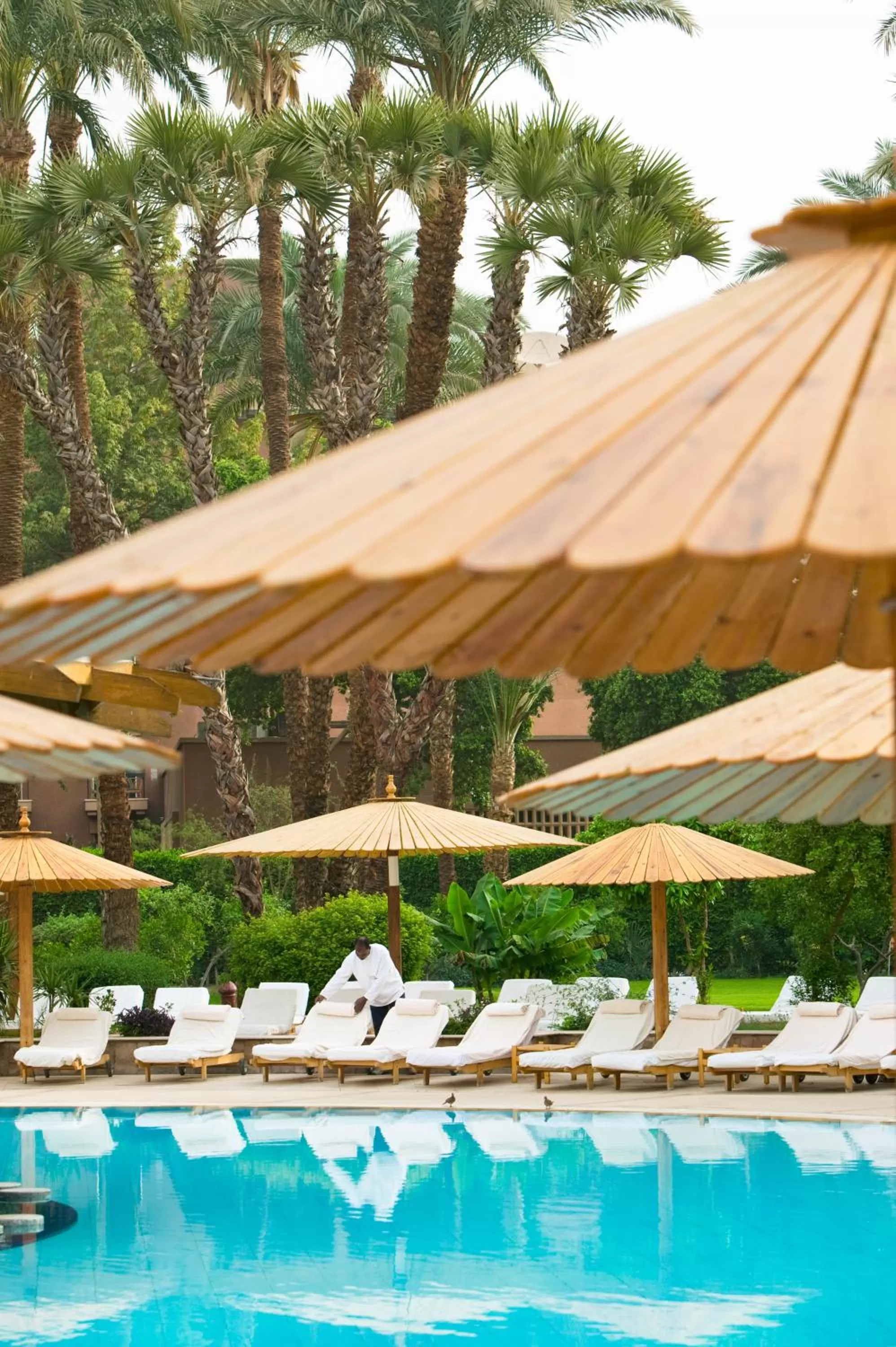 Pool view in Pavillon Winter Luxor