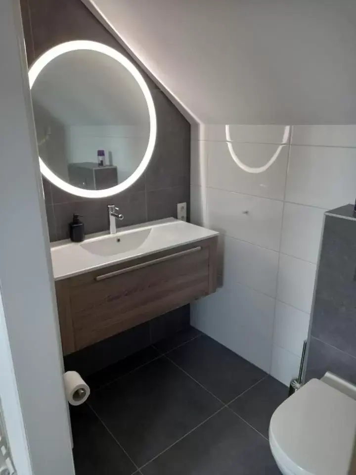 Bathroom in Bed & Breakfast Beilerhorst