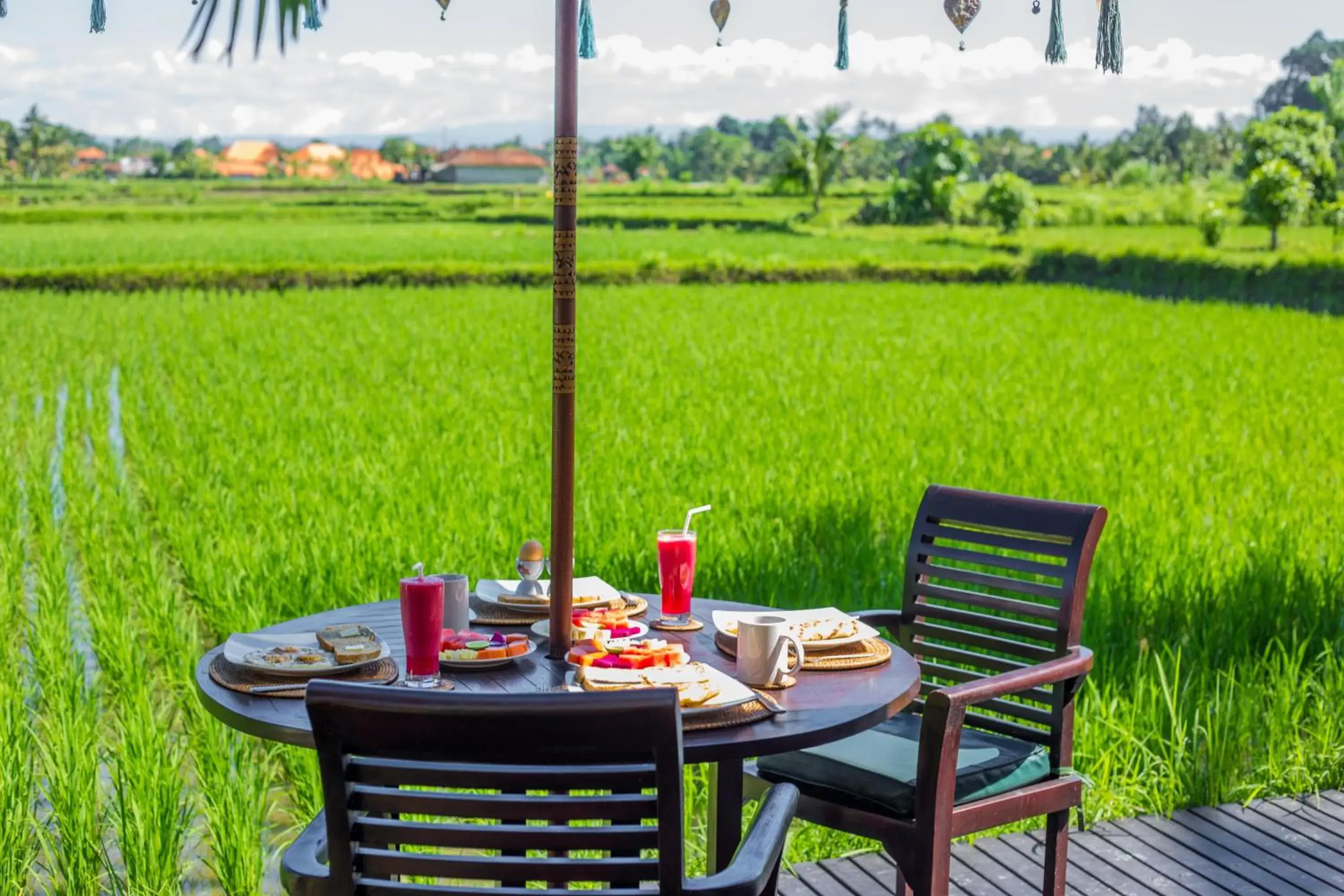 View (from property/room) in Bali Harmony Villa