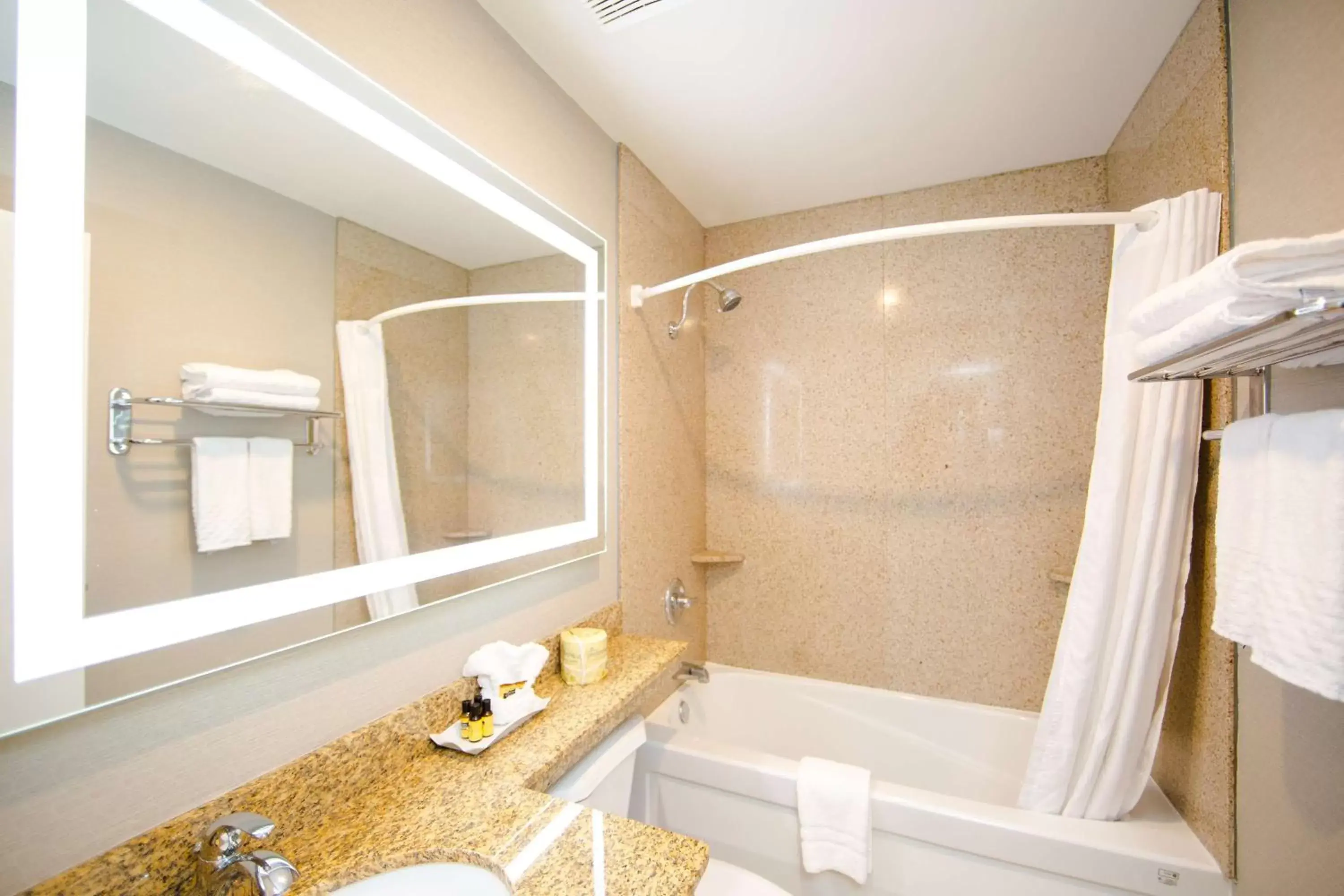 Photo of the whole room, Bathroom in Best Western Plus Ottawa Kanata Hotel and Conference Centre