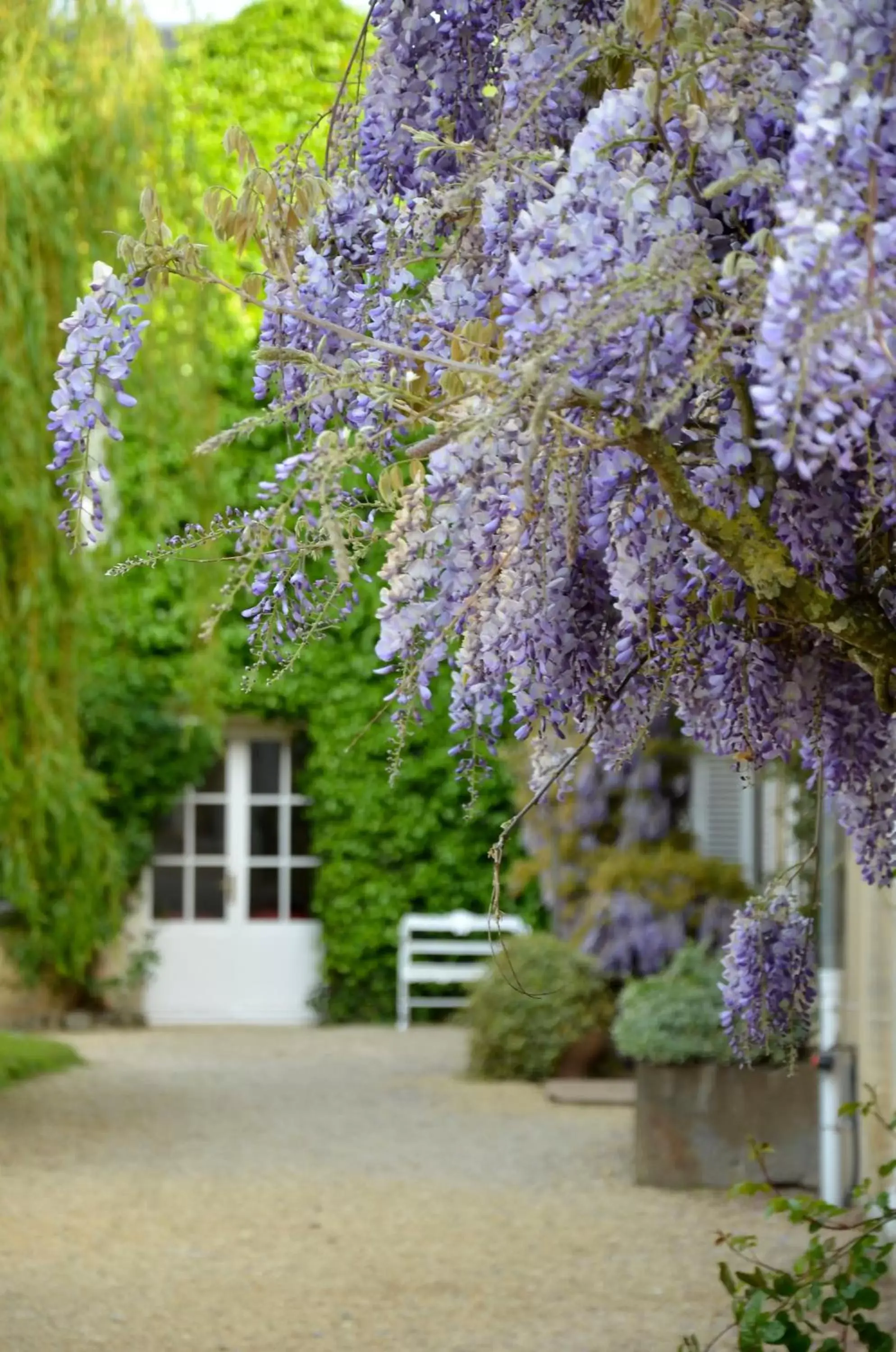 Garden, Property Building in Chateau La Cheneviere