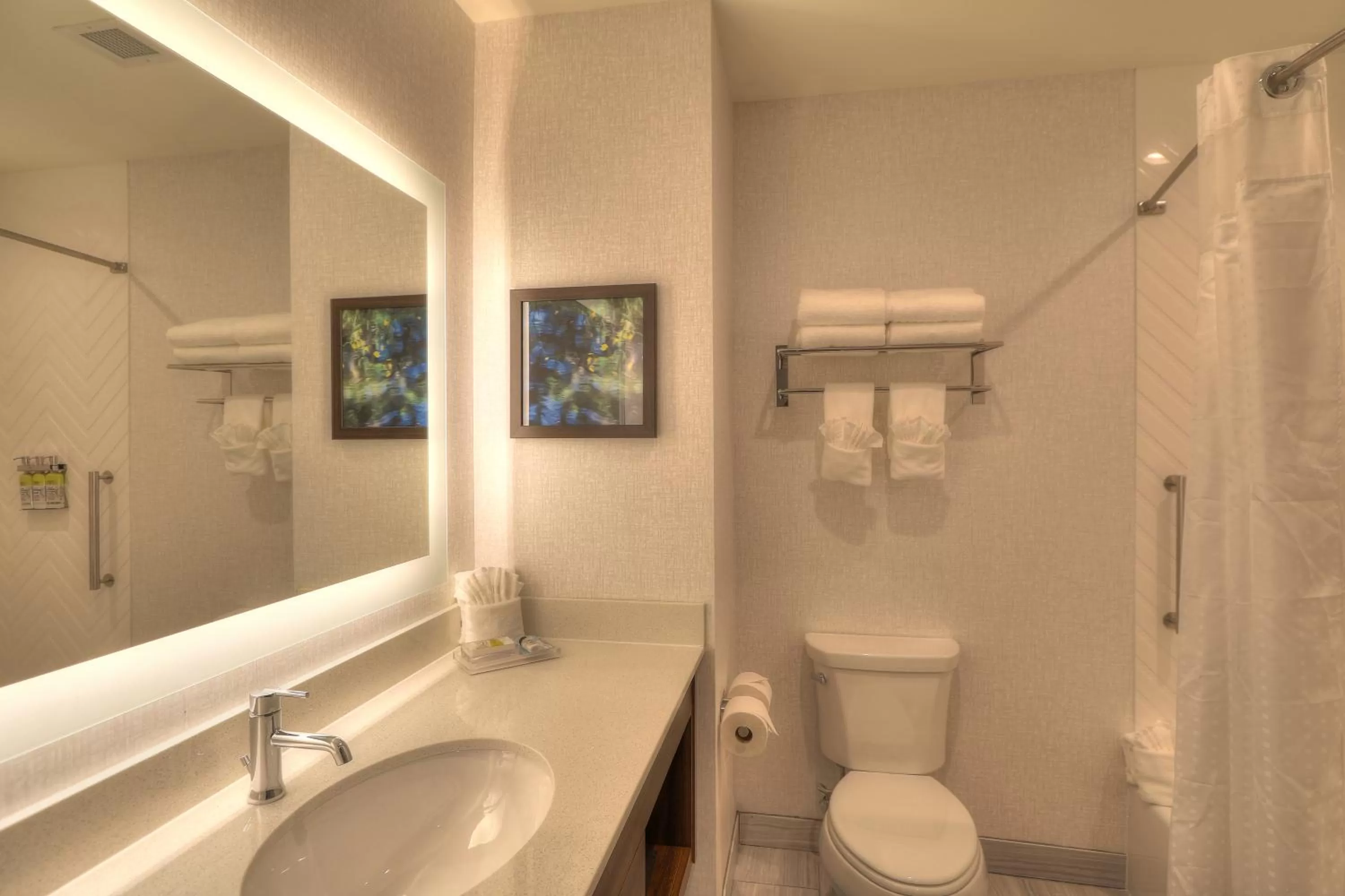 Bathroom in Holiday Inn & Suites Pigeon Forge Convention Center by IHG