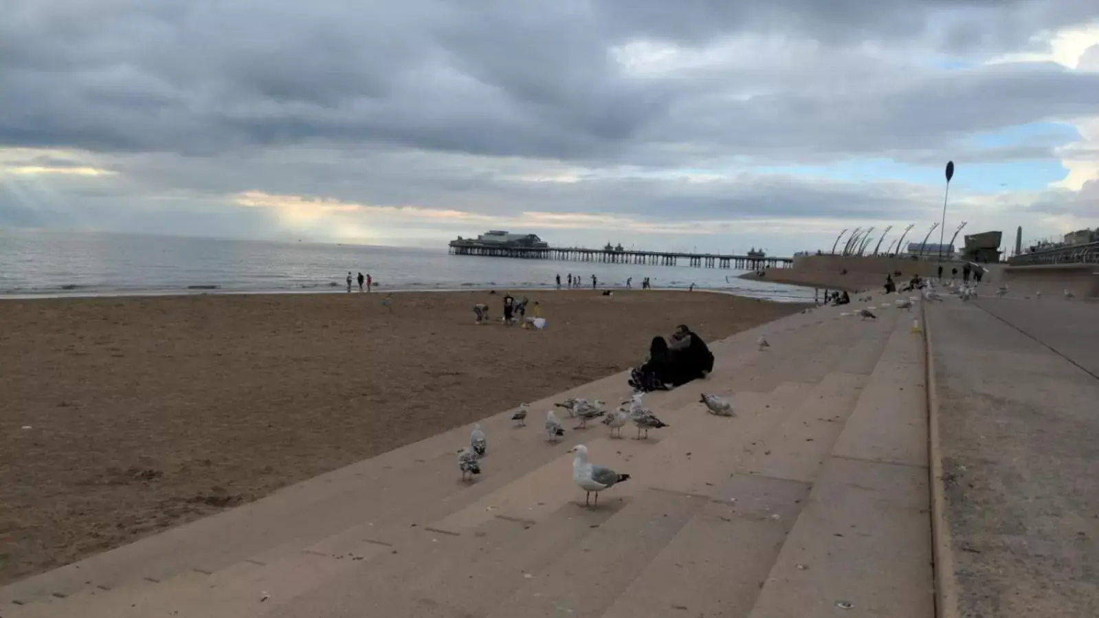 Beach in The Winter Garden Suites