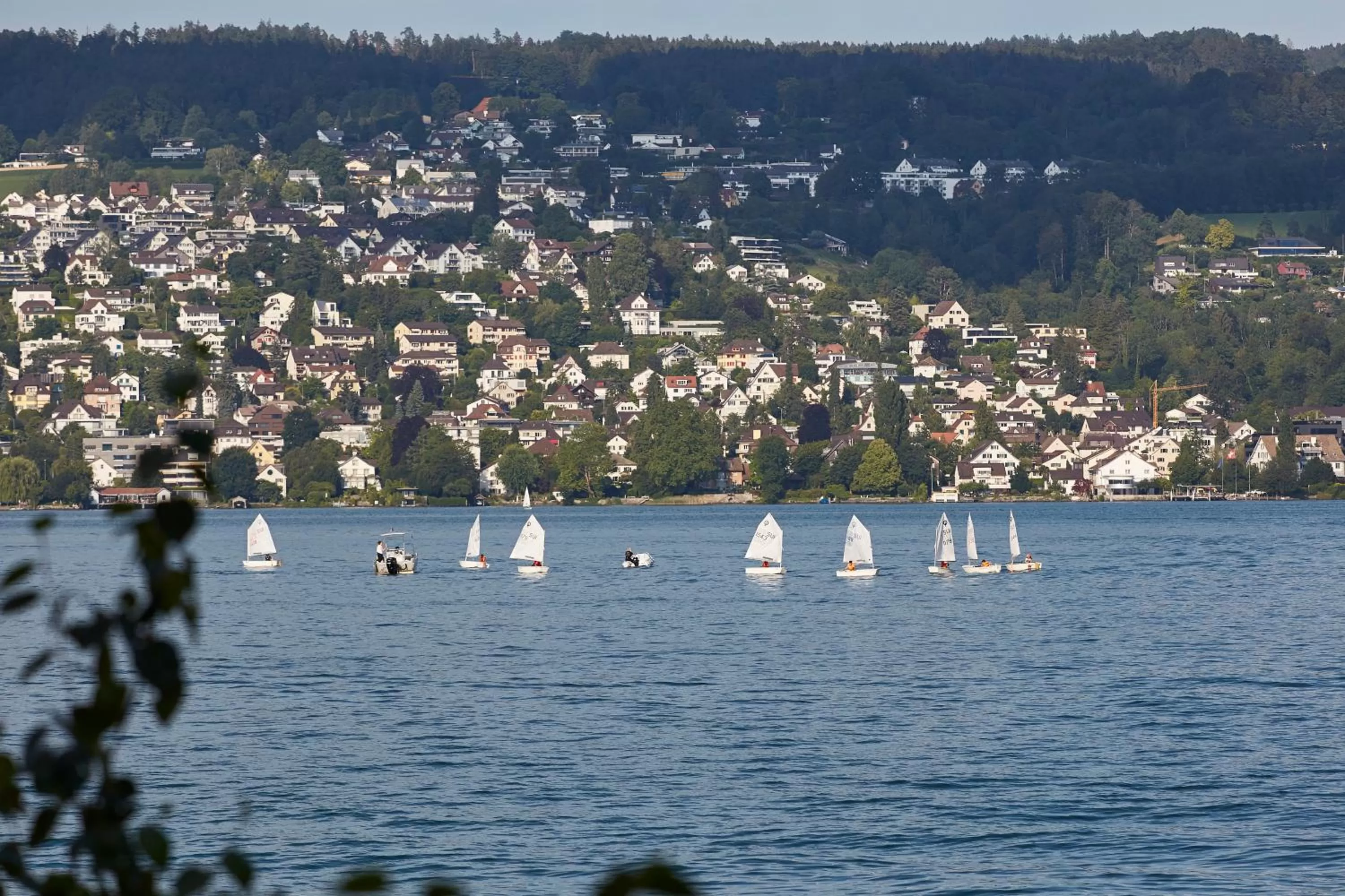 Lake view in Alex Lake Zürich