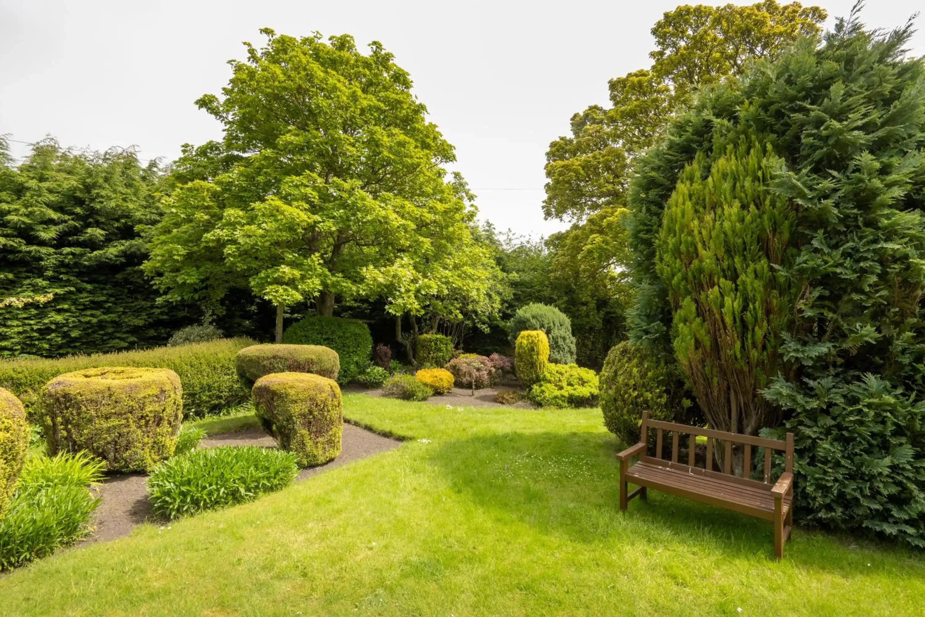 Garden in Park Hotel