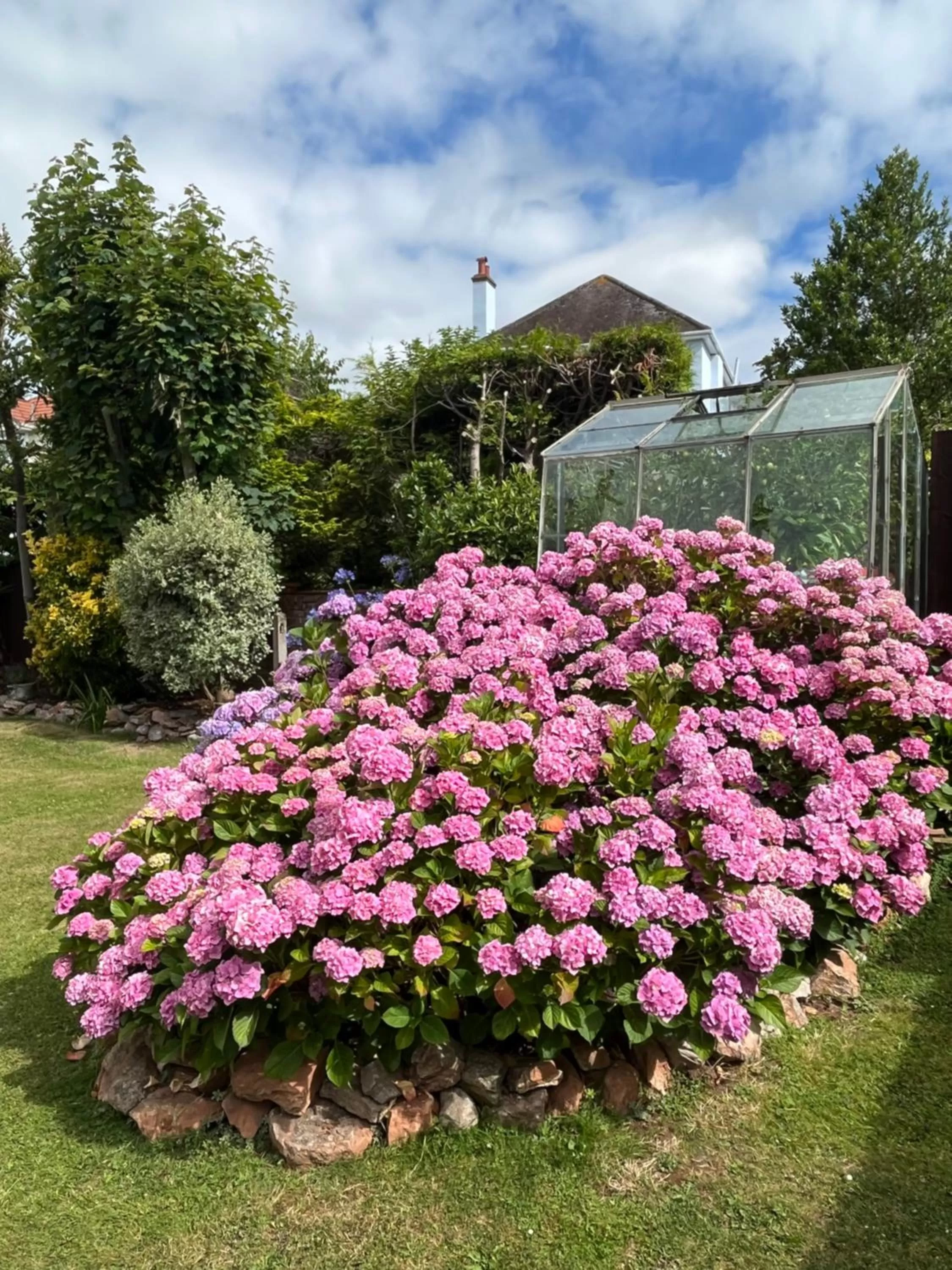 Garden in Stover Lodge