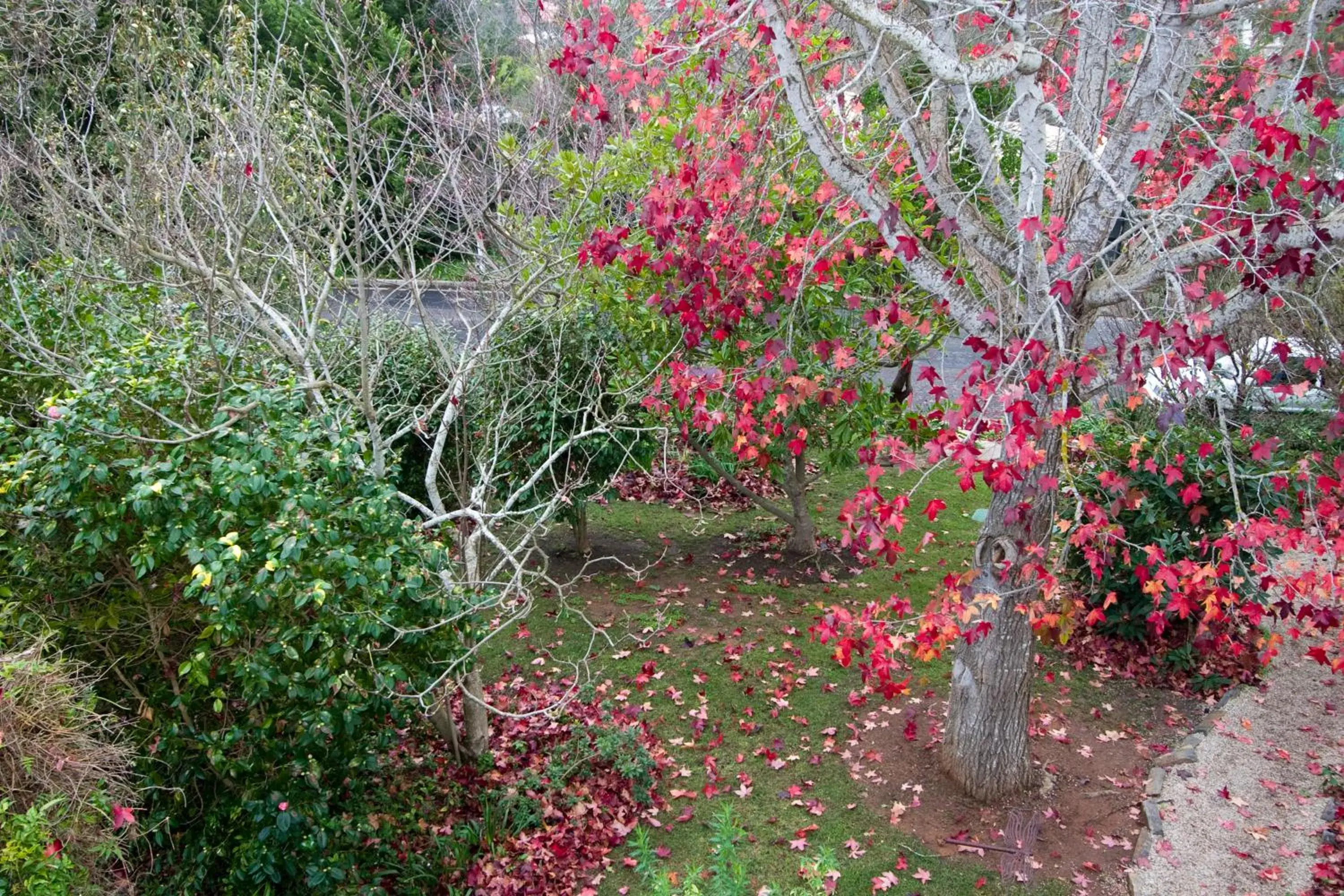 Natural landscape in Amble at Hahndorf