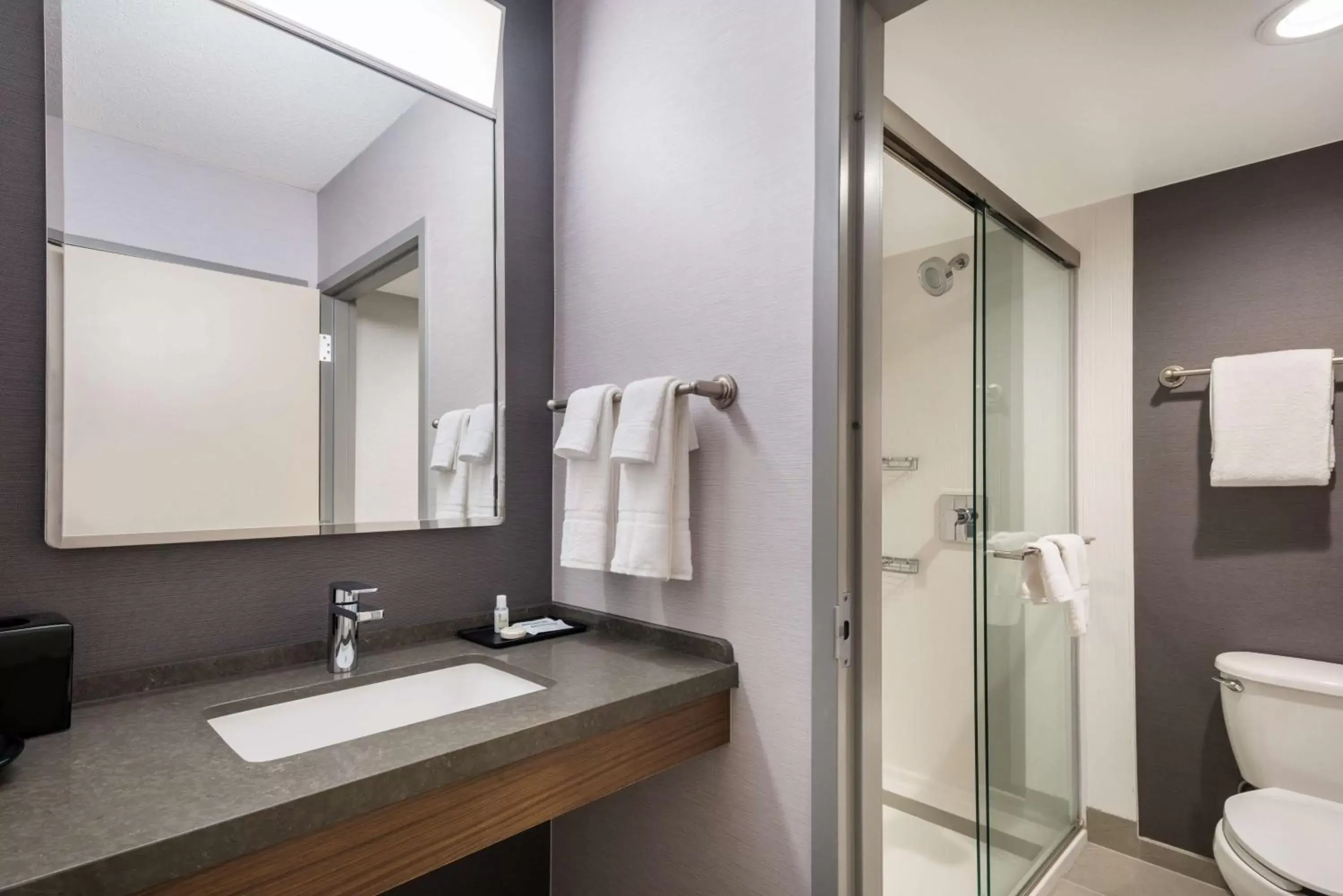Bathroom in Sonesta Select San Jose Airport