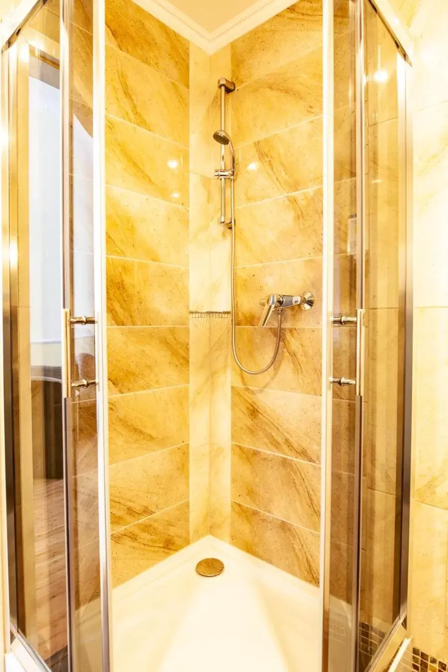 Shower, Bathroom in Hotel Silesia