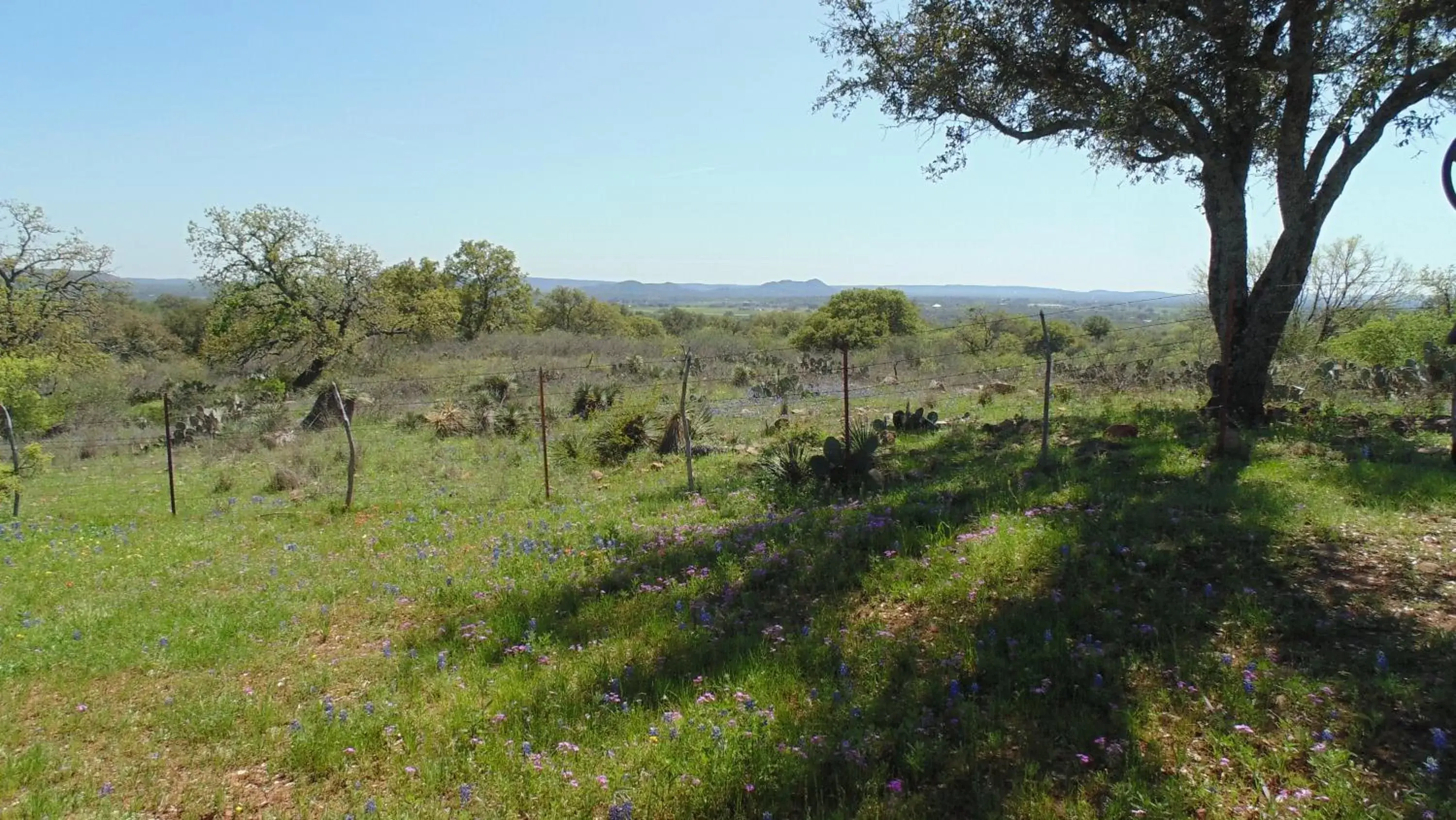 Texas T Bed and Breakfast