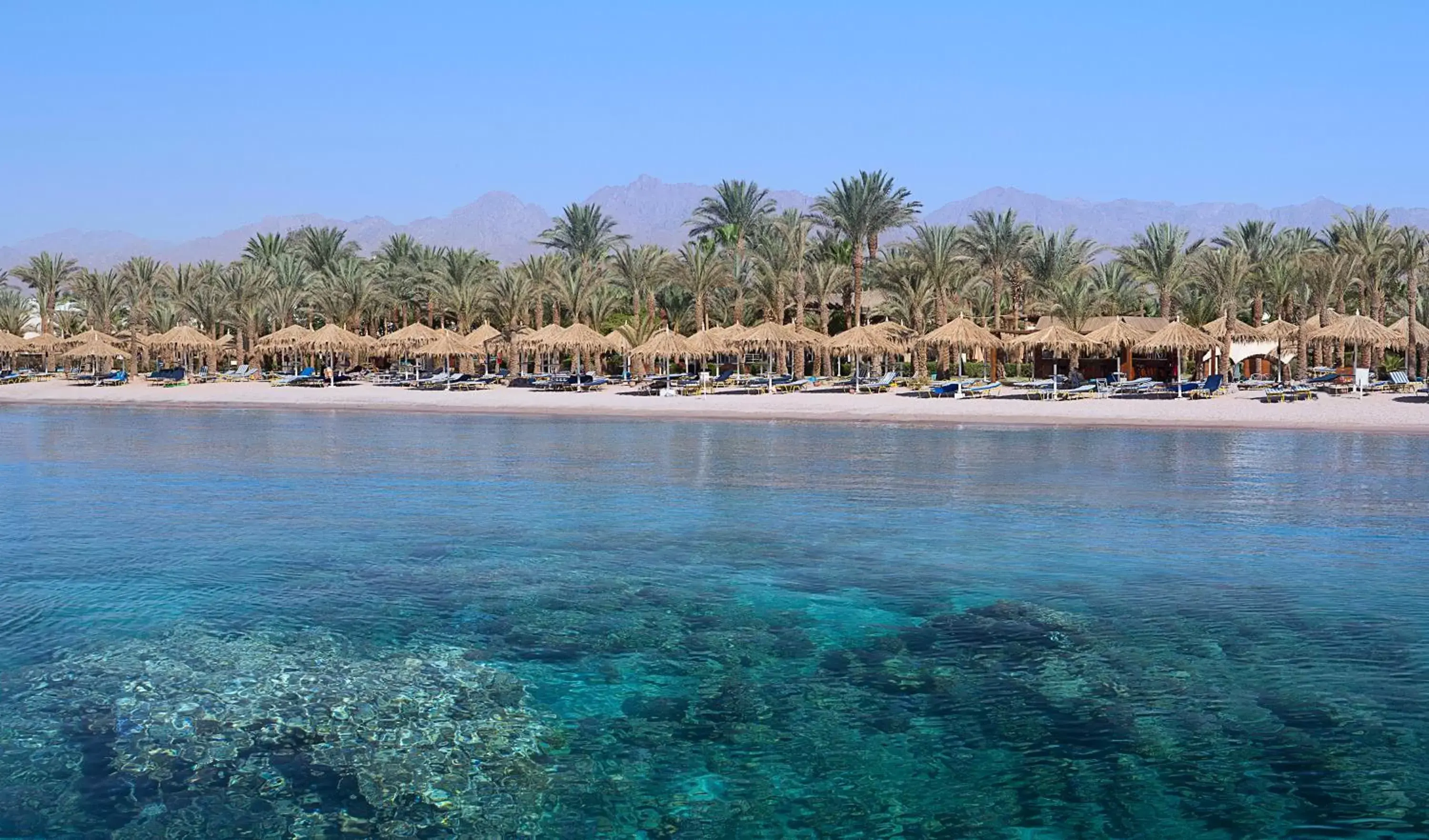 Beach in Sharm Dreams Resort - by Jaz Hotel Group