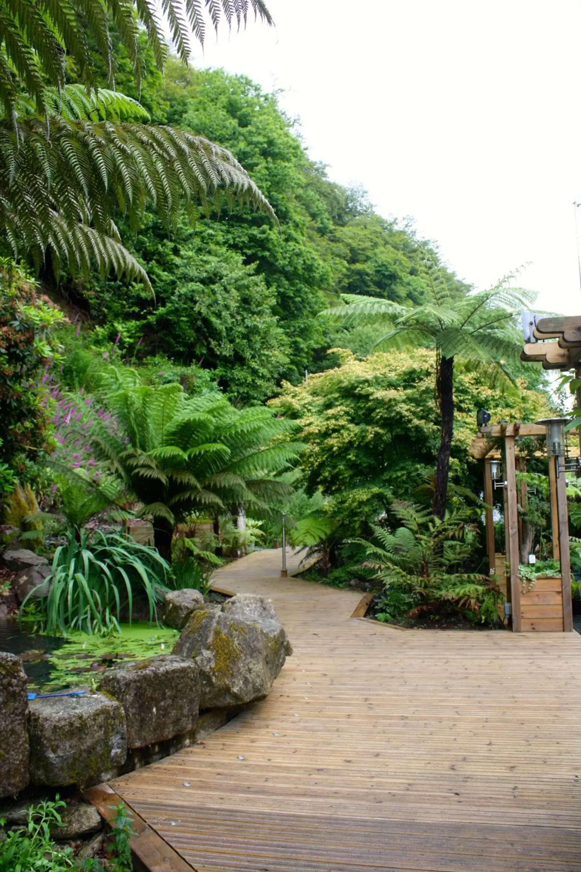 Garden in The Waterwheel