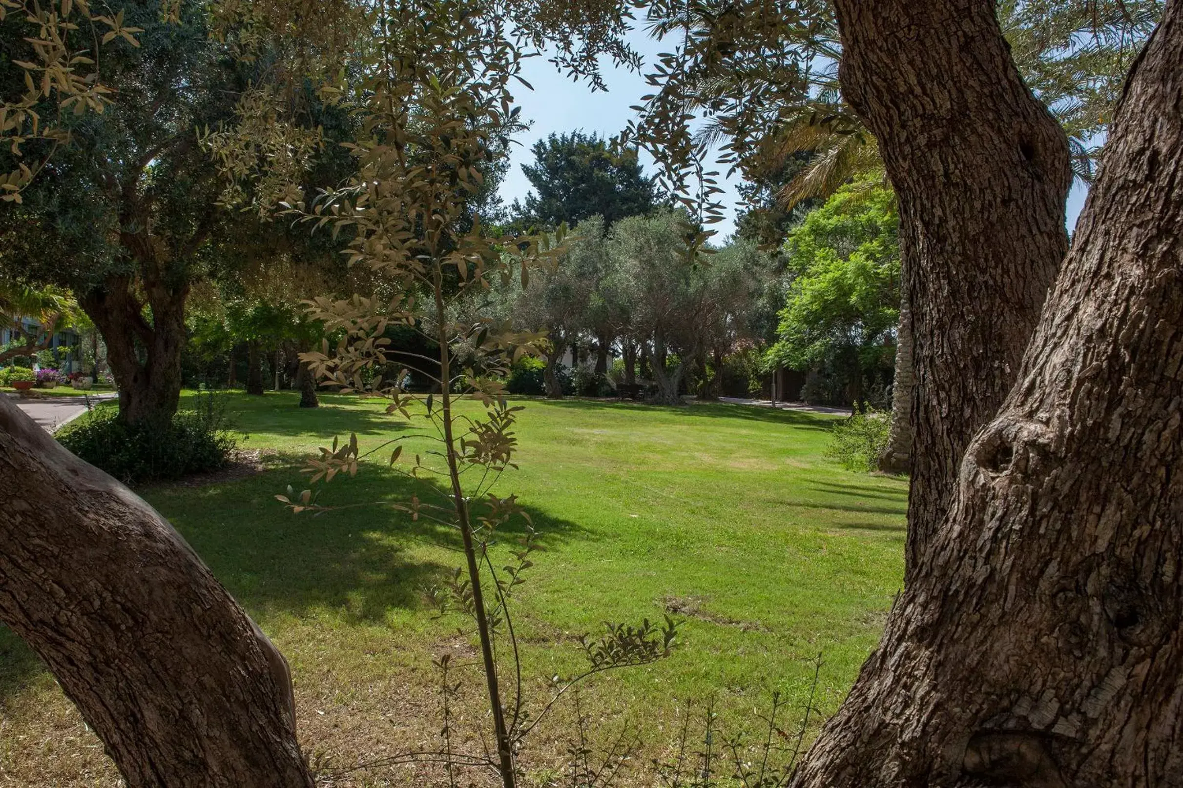 Garden in Eden Inn