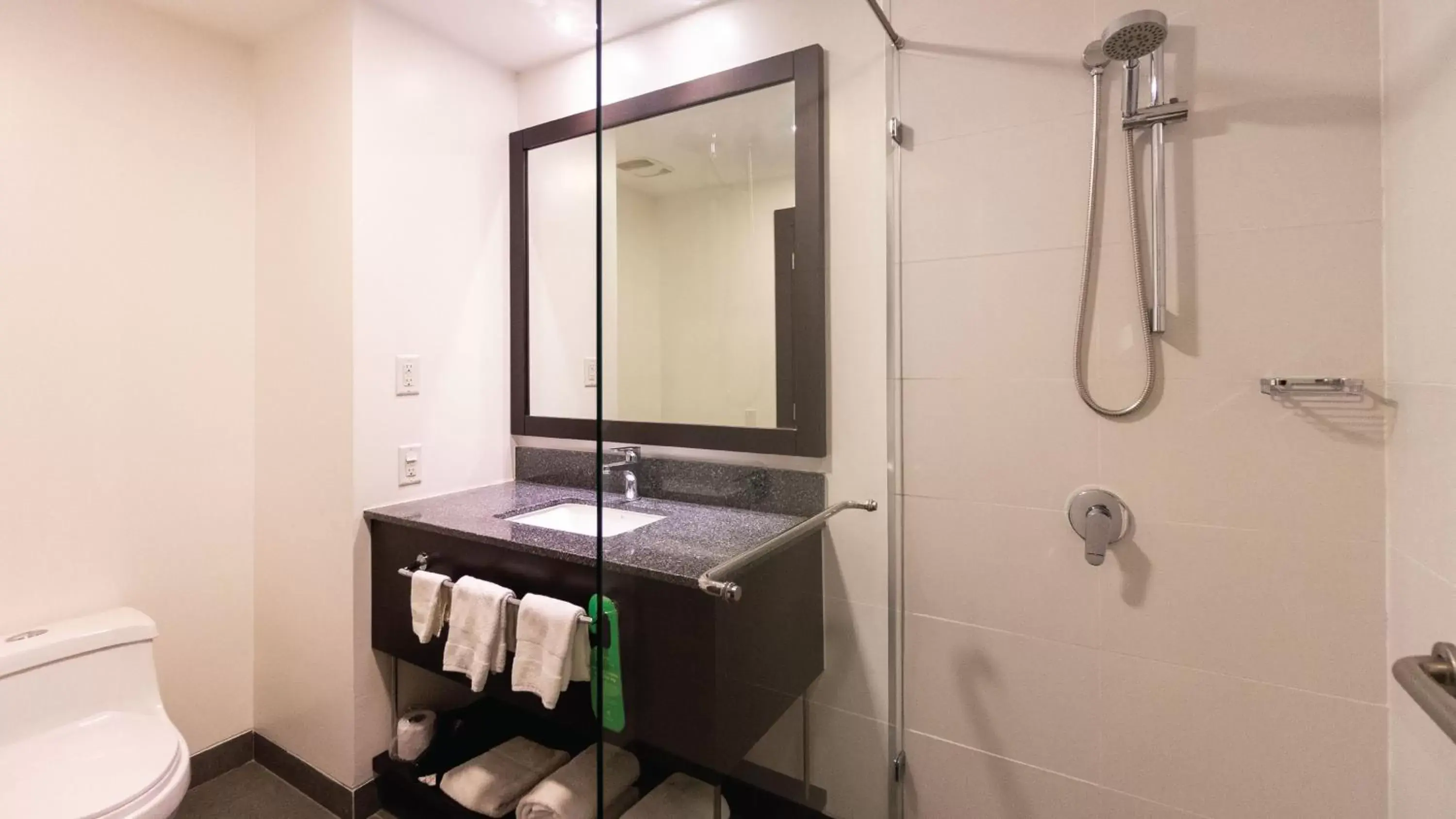 Bathroom in Holiday Inn Guayaquil Airport, an IHG Hotel