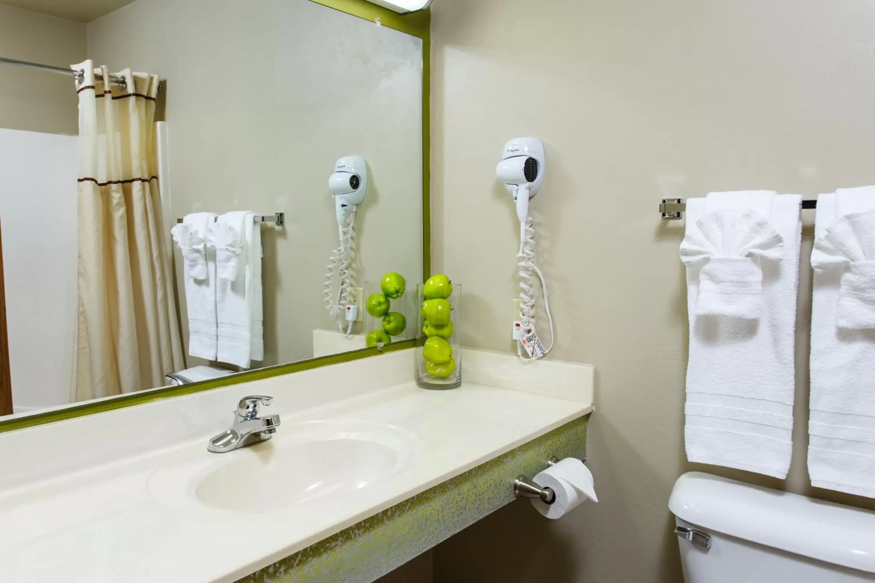 Bathroom in Extended Stay Airport