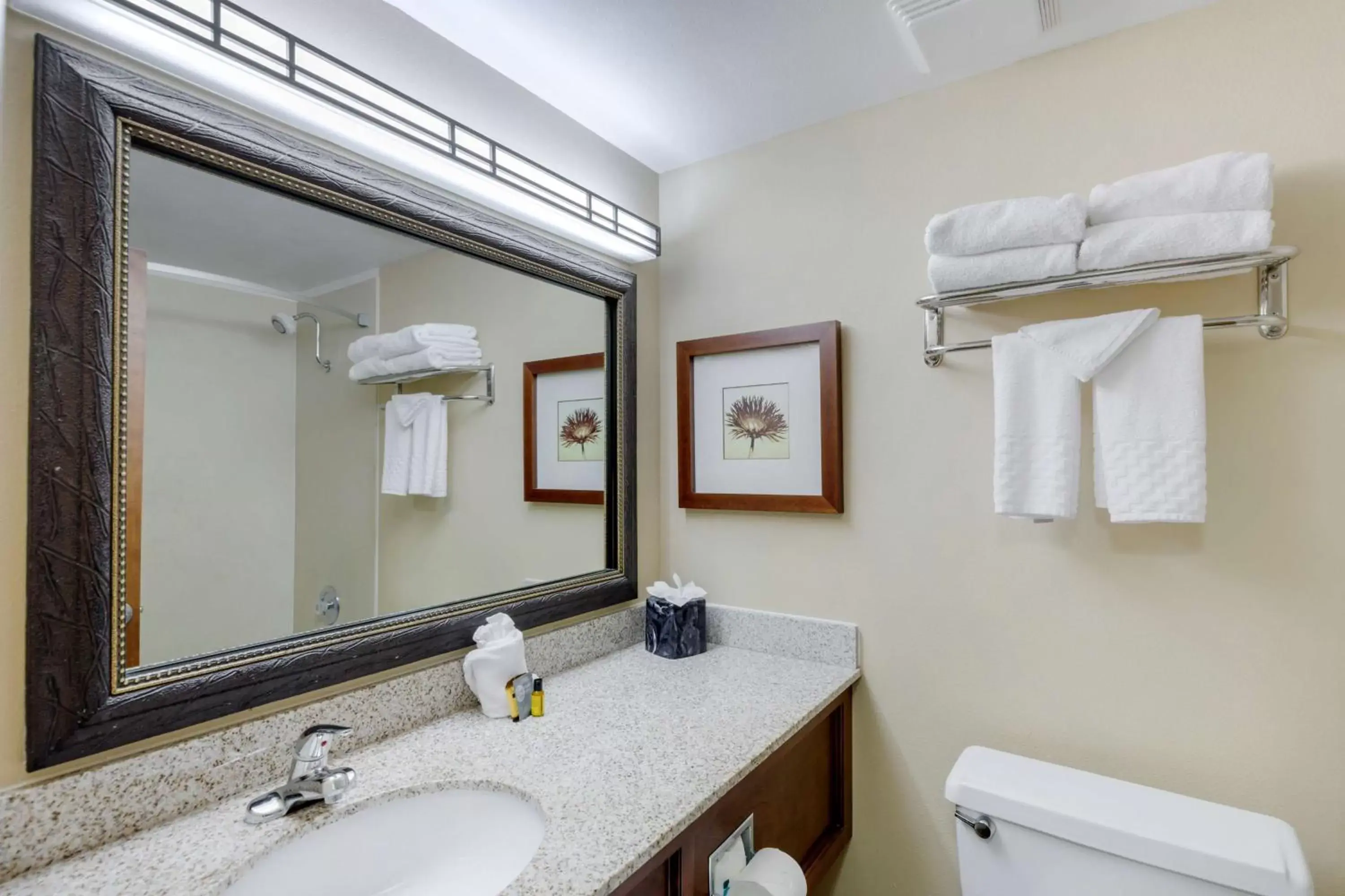 Bathroom in Best Western Plus Loveland Inn