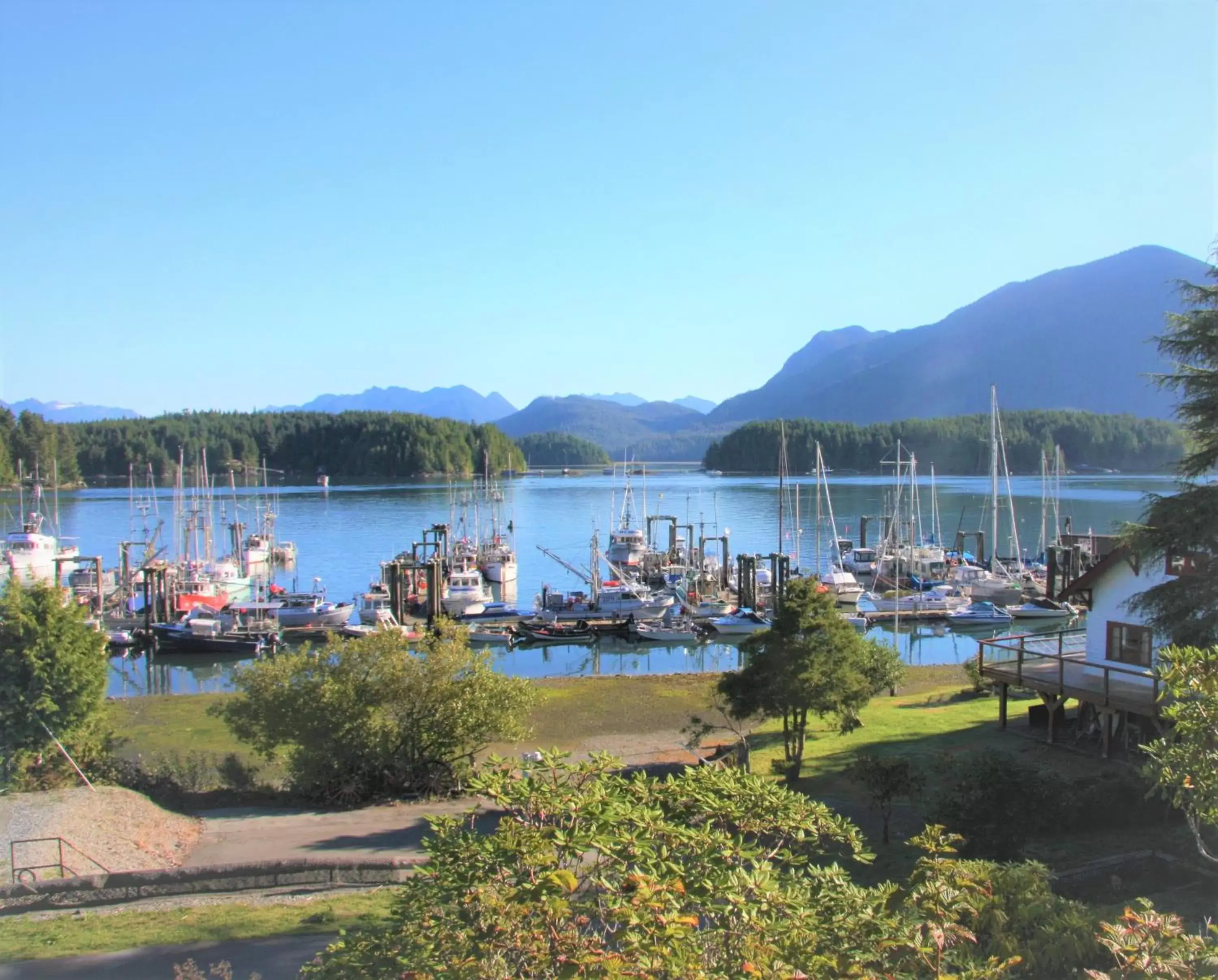 Mountain view in Tofino Motel Harborview