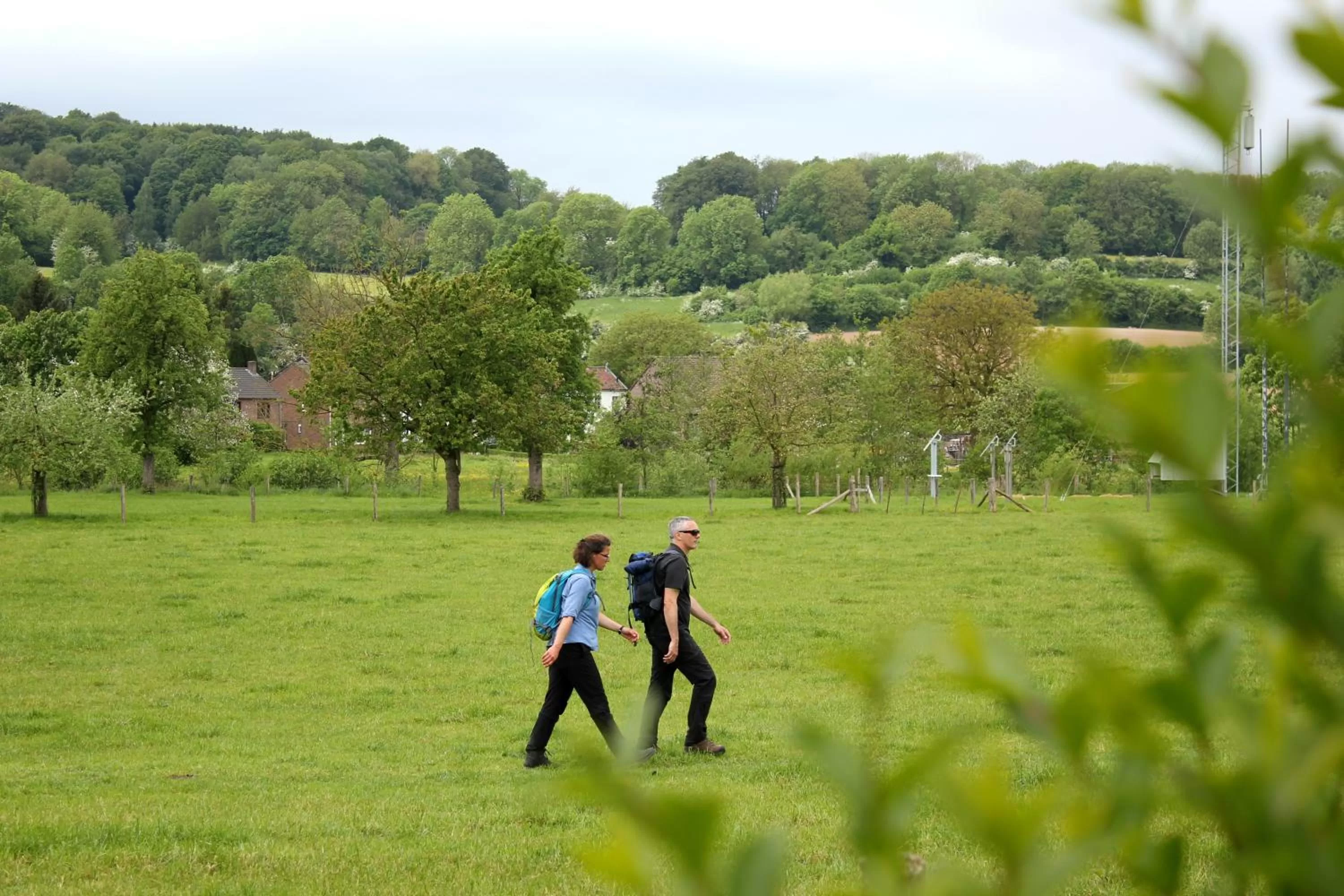 Natural landscape in Hotel Brull