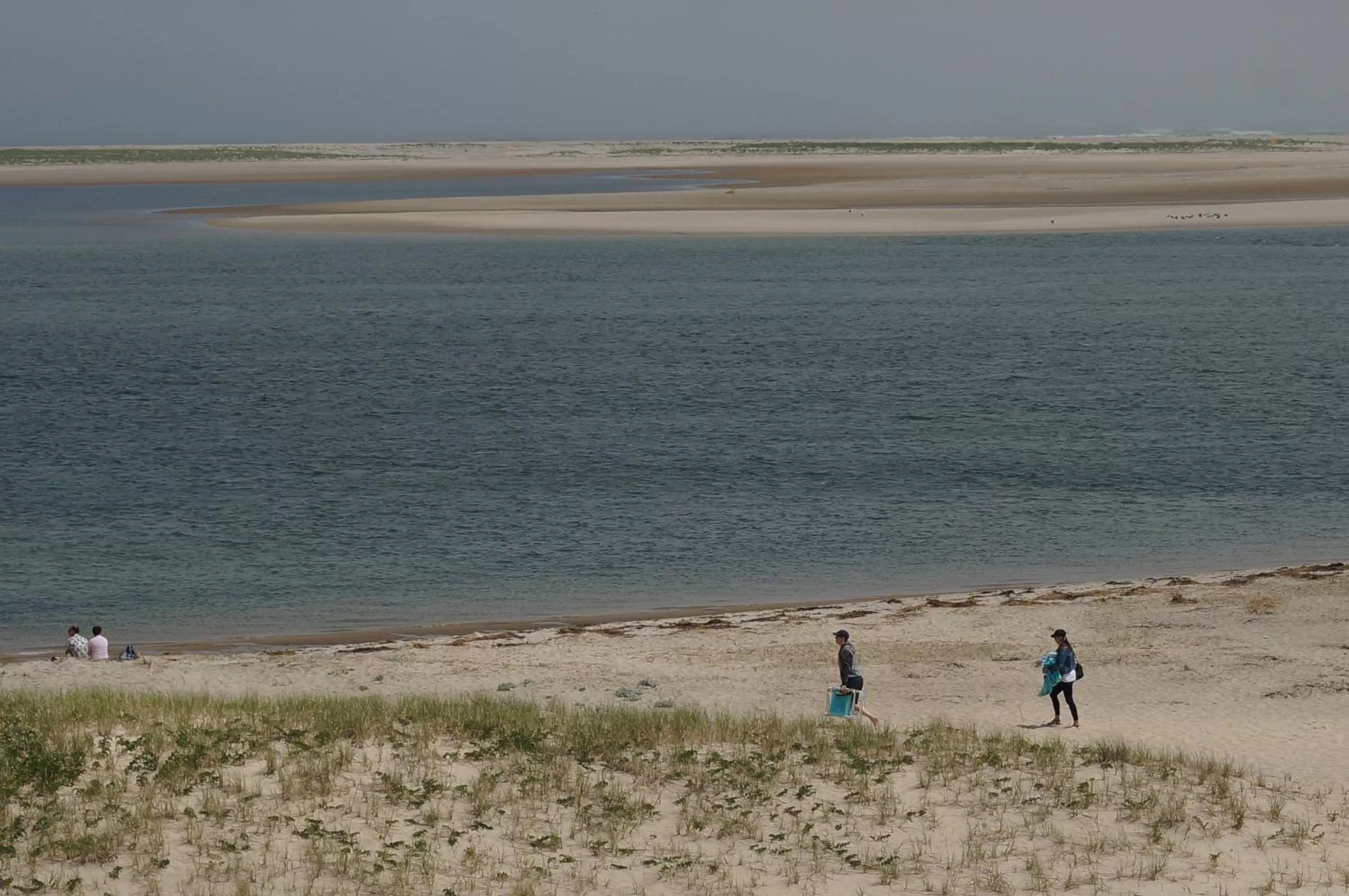 Beach in Chatham Tides