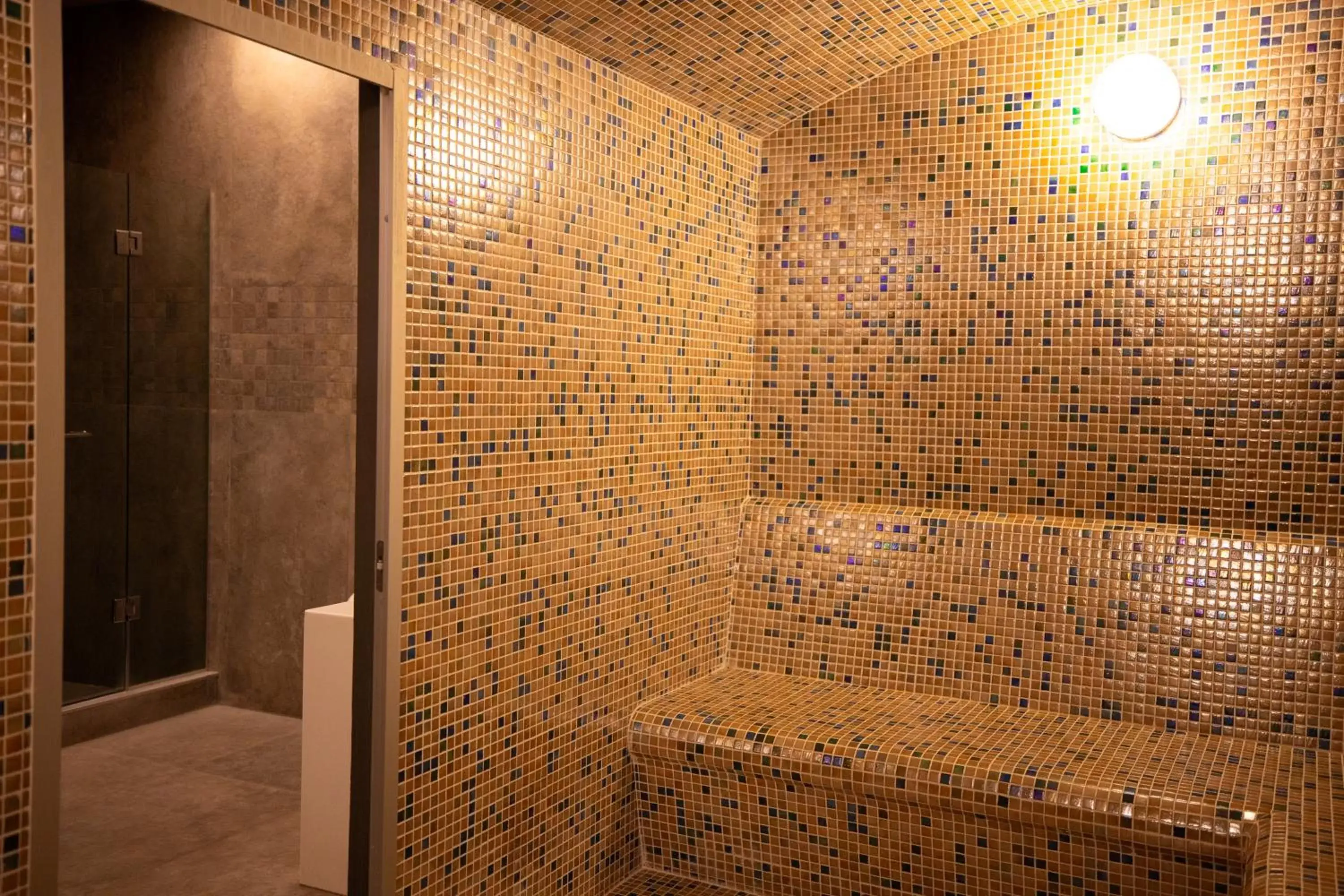 Sauna, Bathroom in Marco Polo Hotel Gudauri