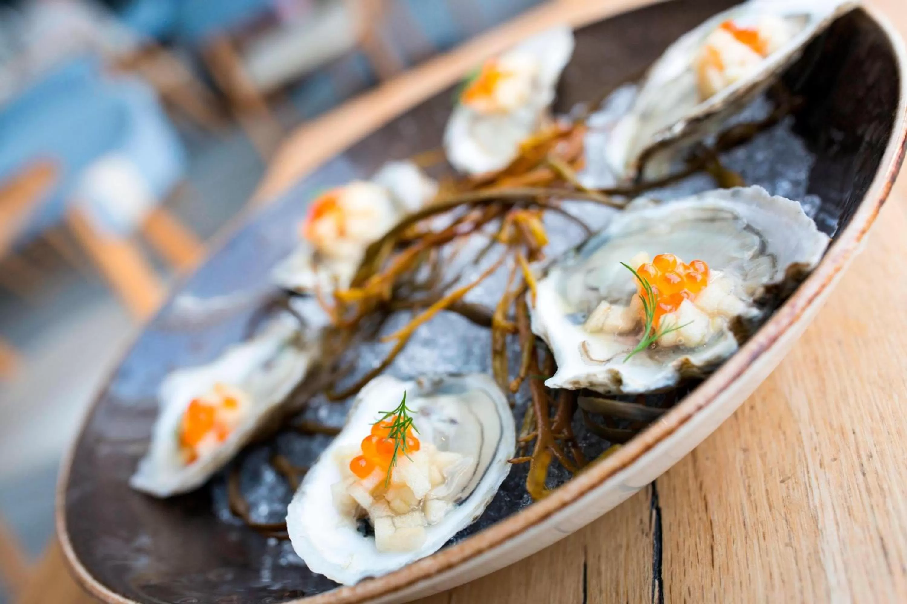 Restaurant/places to eat in W Hoboken