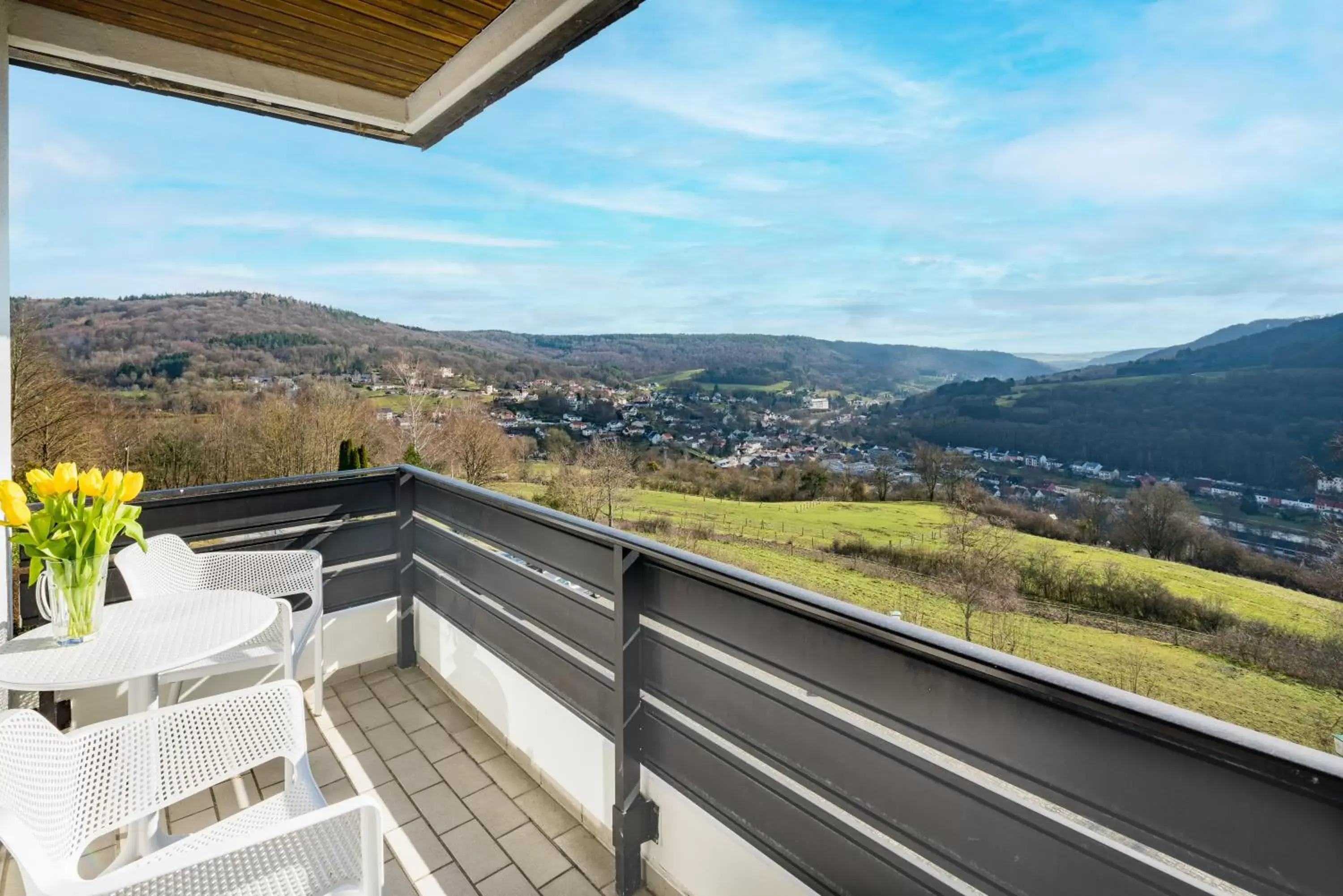 View (from property/room), Balcony/Terrace in Waldhotel Sonnenberg