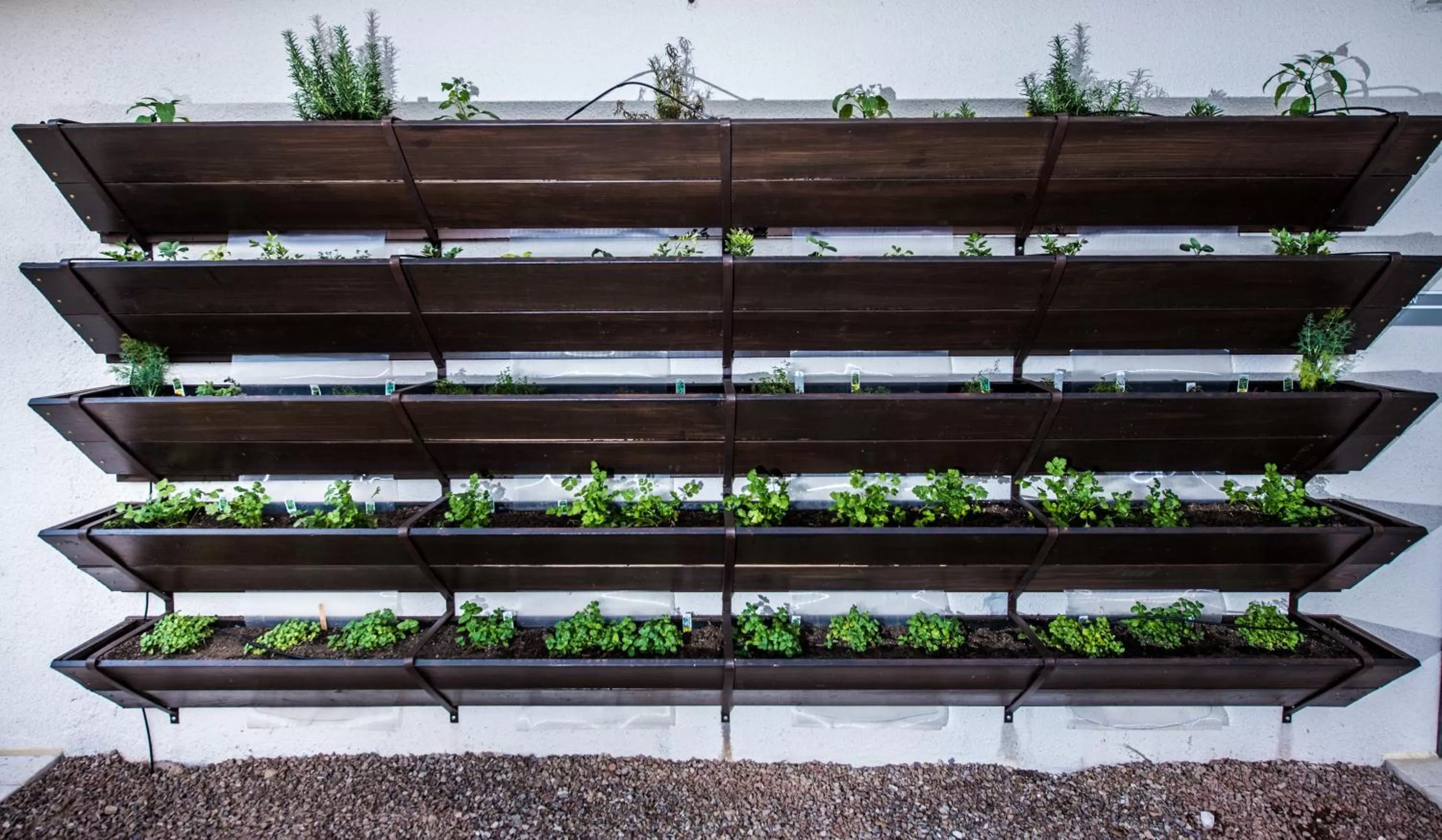 Decorative detail in Found Re Phoenix