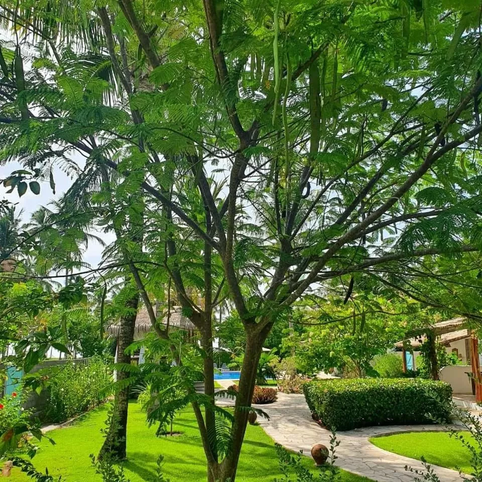 Pool view in Pousada Villages Boutique Hotel - 150m da Praia da Laje